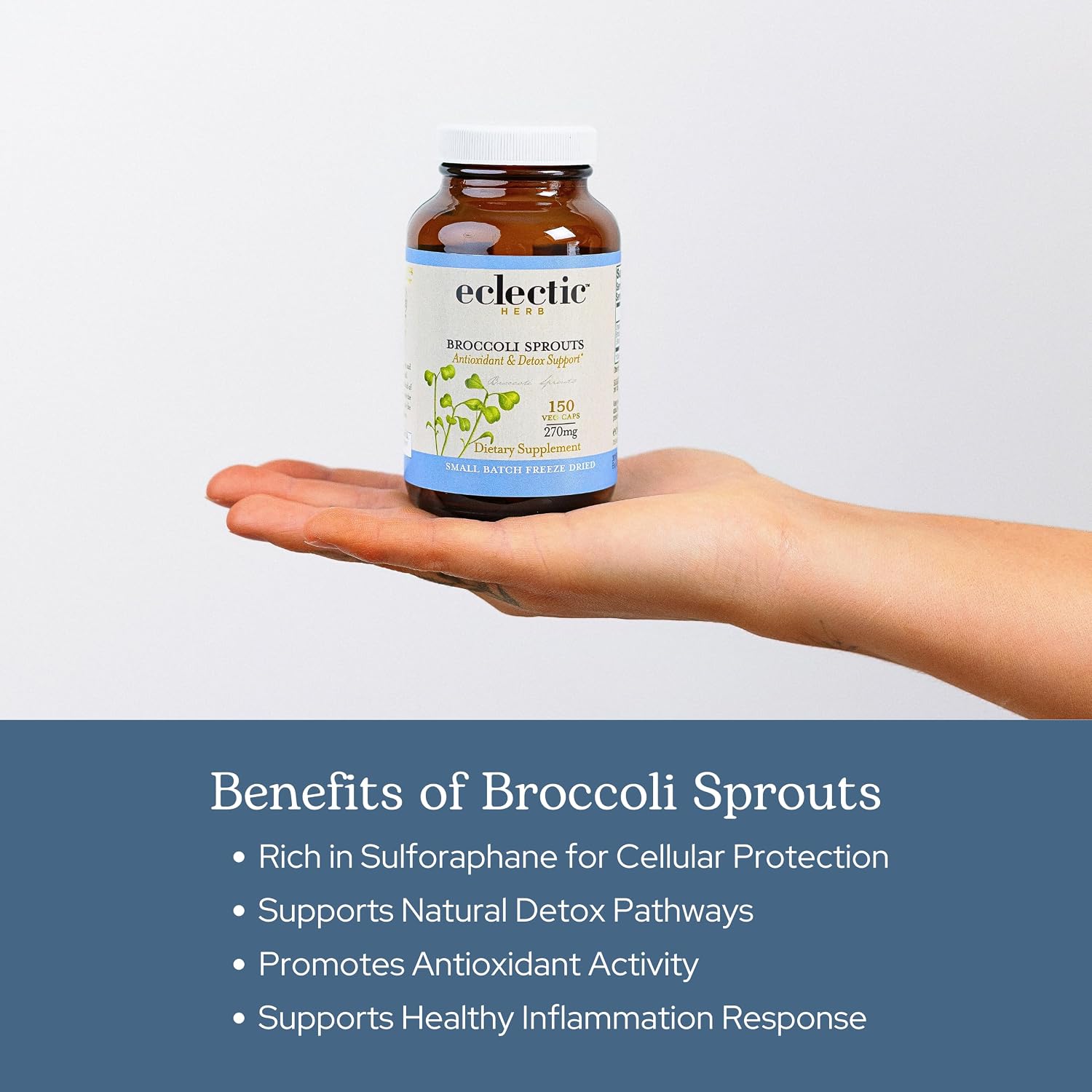 Eclectic Herb Organic Broccoli Sprouts Capsules - 150 Count, 270 mg