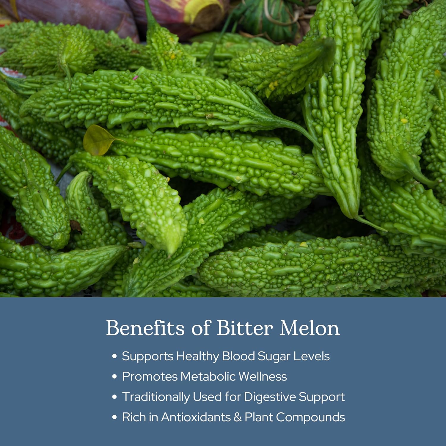 Eclectic Herb Bitter Melon Capsules - Digestion and Immune Support - 200 mg, 90 Count