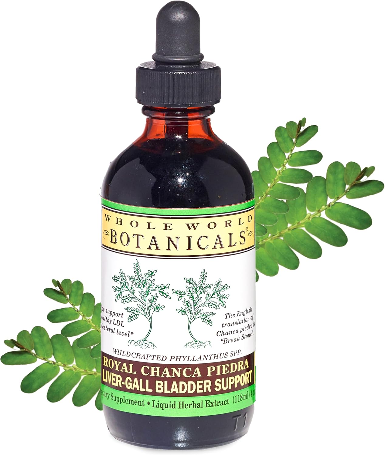 Whole World Botanicals Royal Chanca Piedra Liquid Extract – Liver & Gallbladder Support – 118 mL
