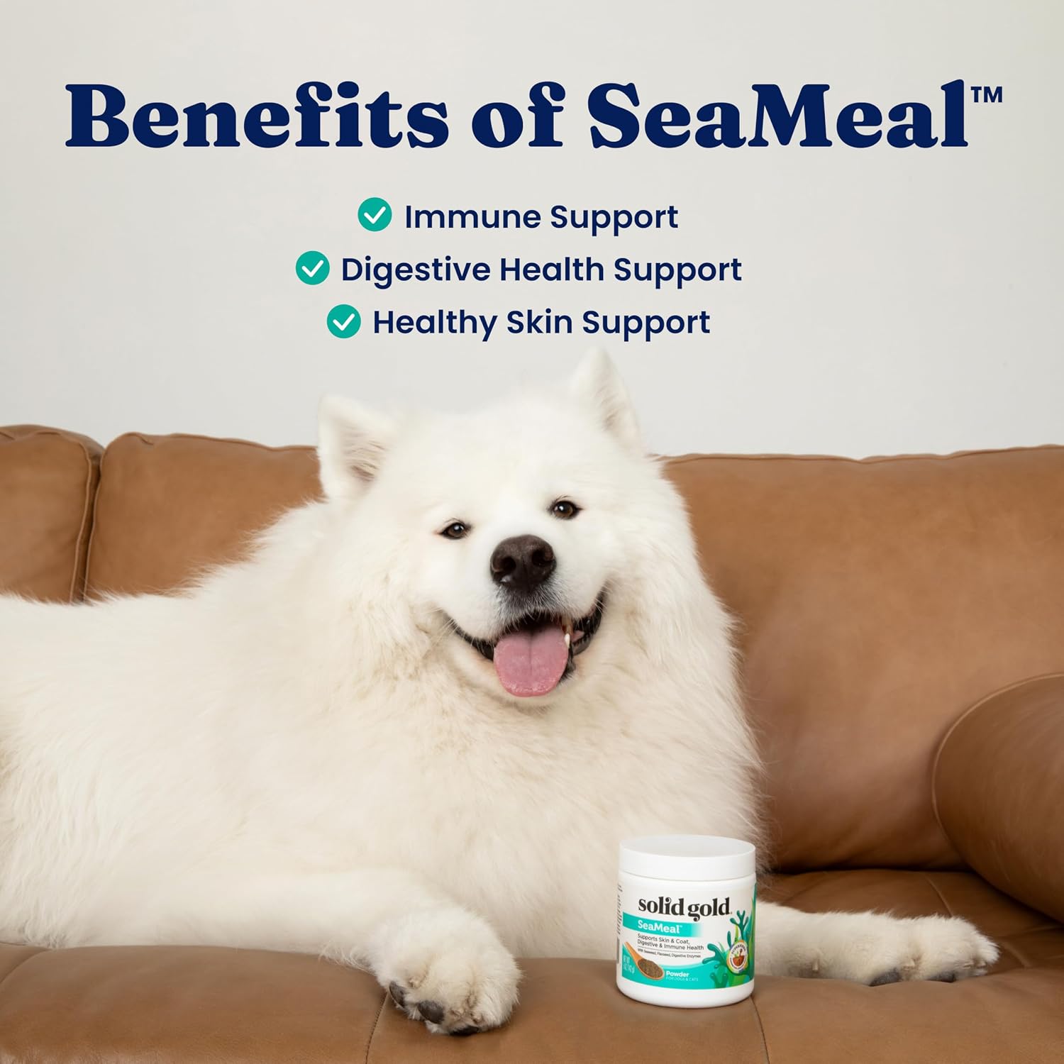 Solid Gold SeaMeal Cat & Dog Multivitamin Powder - 2.27 kg