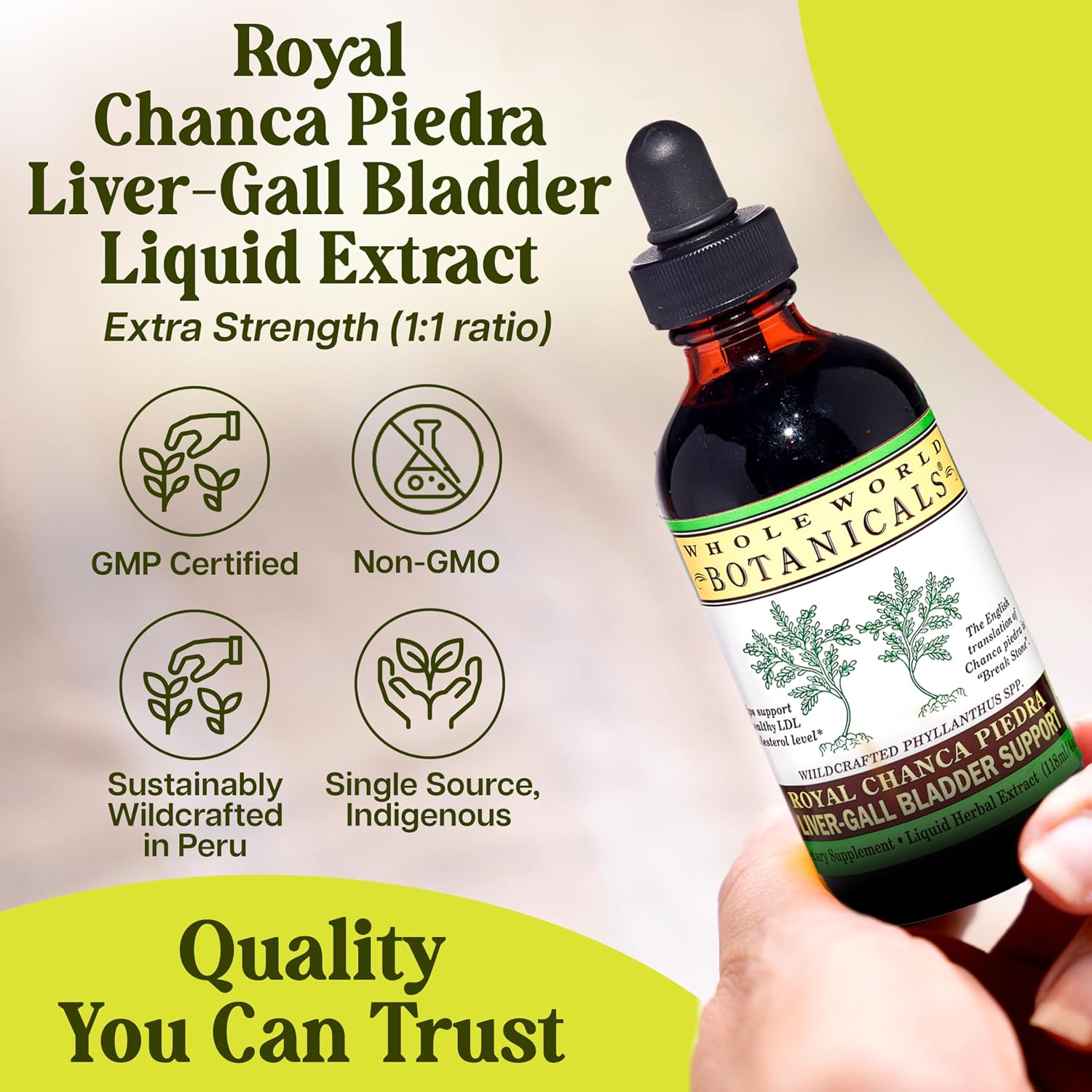 Whole World Botanicals Royal Chanca Piedra Liquid Extract – Liver & Gallbladder Support – 118 mL