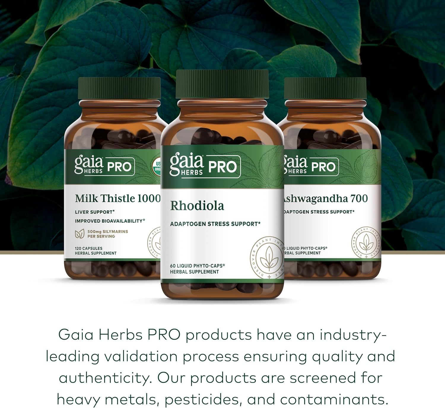 Gaia Herbs PRO Rhodiola Root Extract – Adaptogen for Energy & Stress Support – 60 Phyto-Caps