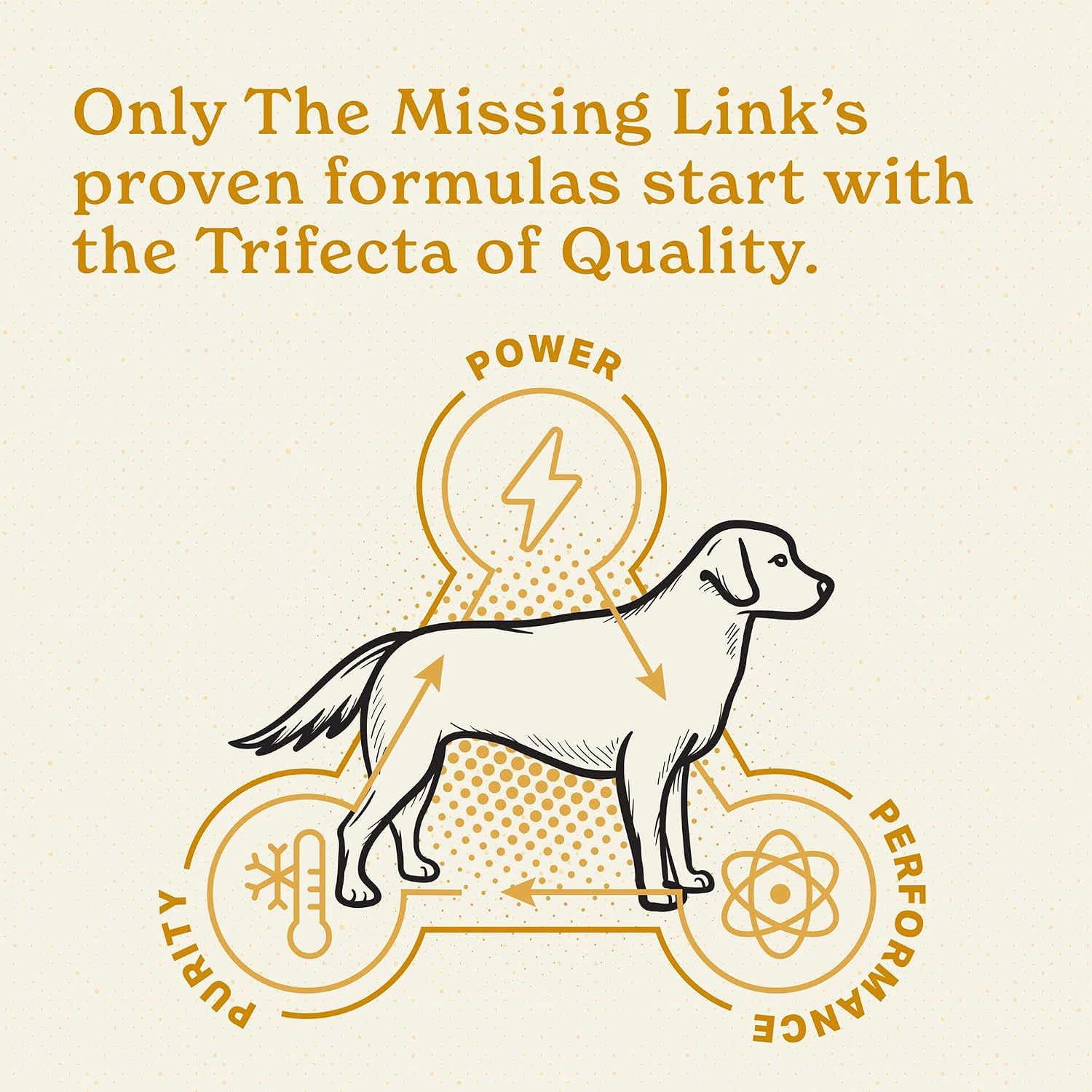 The Missing Link Skin & Coat + Probiotics Supplement for Dogs, 5 lb