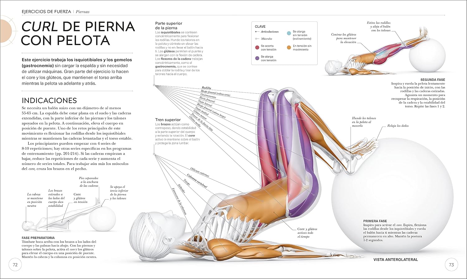 Science of Strength Training: Improve Your Technique, Prevent Injury, Perfect Your Training