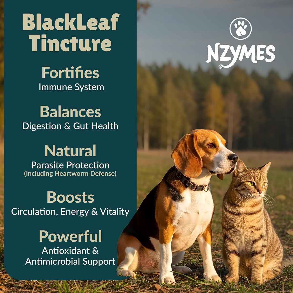 BlackLeaf Tincture for Pets - görsel 2