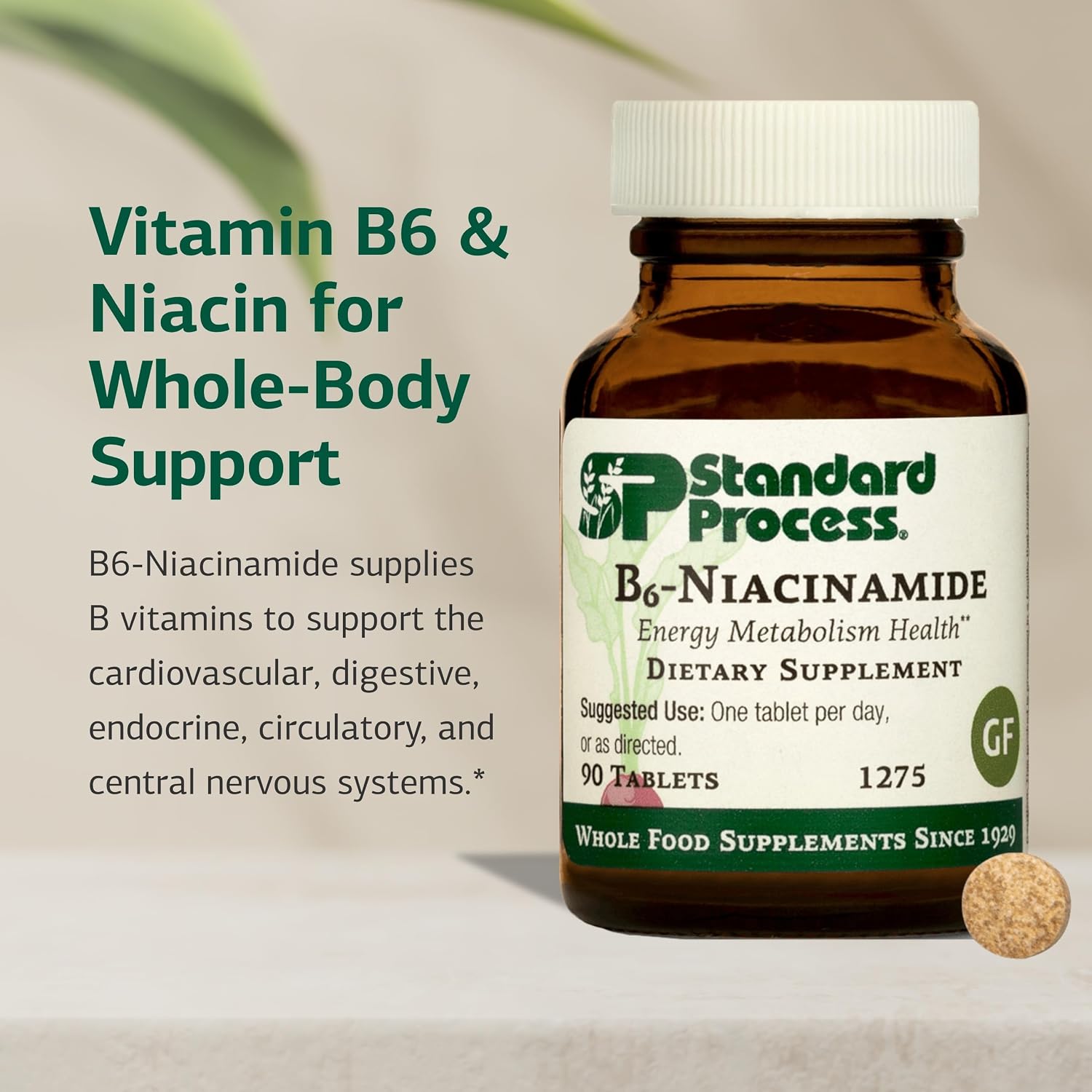 Standard Process B6-Niacinamide - Energy Metabolism & Cardiovascular Health Support - 90 Tablets