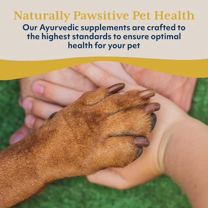 Ayush Pet Neem Plus – Neem Supplement for Dogs & Cats, 90 Capsules