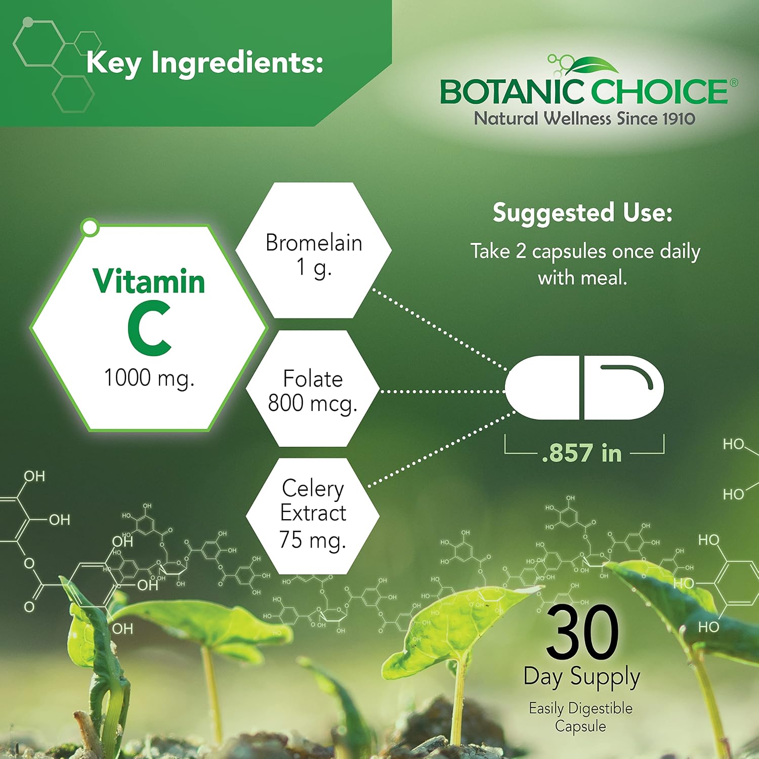 Botanic Choice Uric Acid Complex - Celery Seed and Bromelain Supplement, 60 Capsules