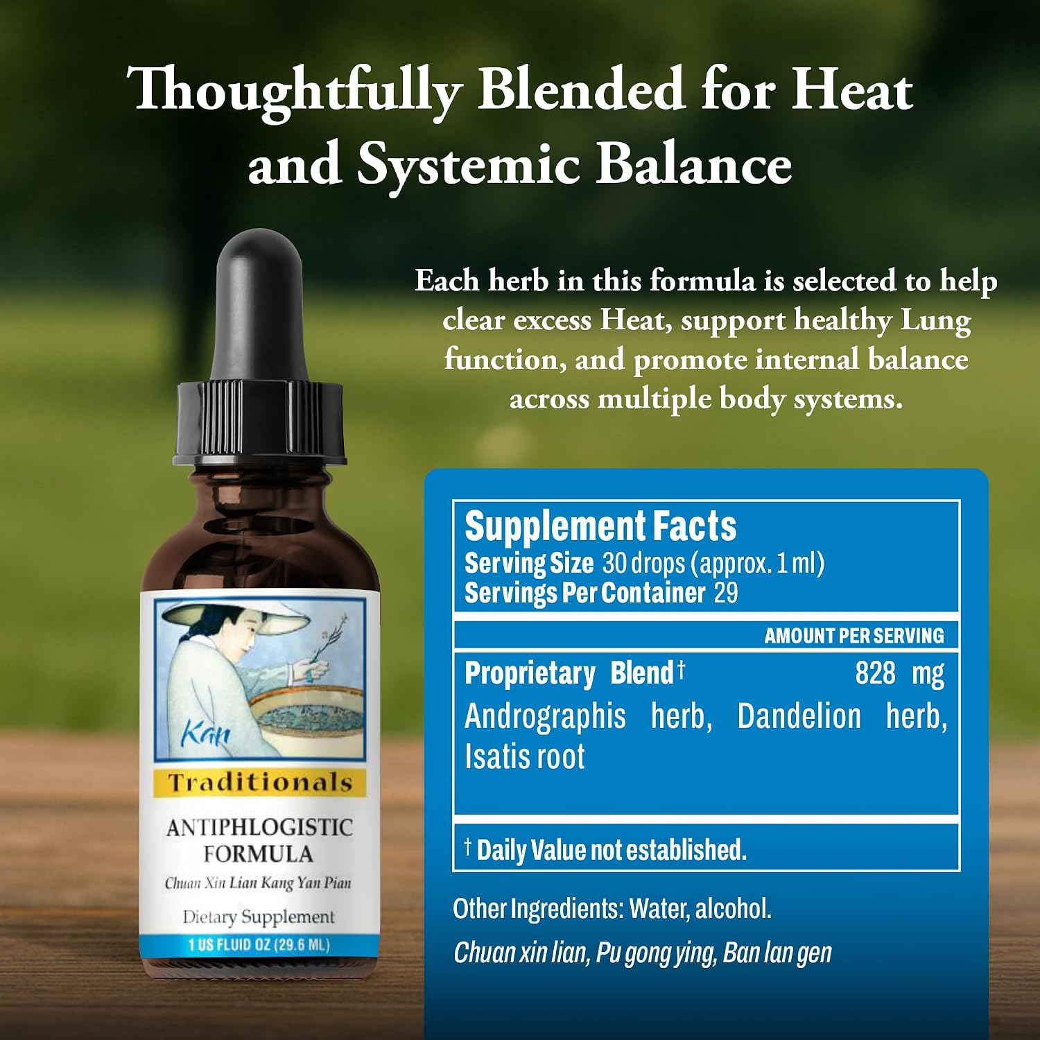 Kan Herbs Company Antiphlogistic Formula – Traditional Chinese Herbal Blend to Support Heat Balance Across Body Systems, Promote Lung and Digestive Comfort, Liquid Extract, 1 fl oz (30 mL)