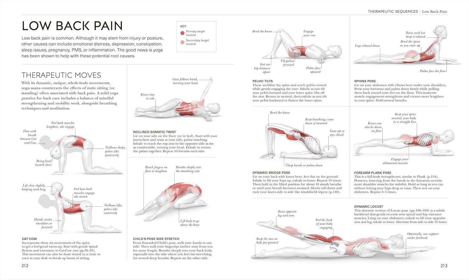 Science of Yoga: Understand the Anatomy and Physiology to Perfect Your Practice