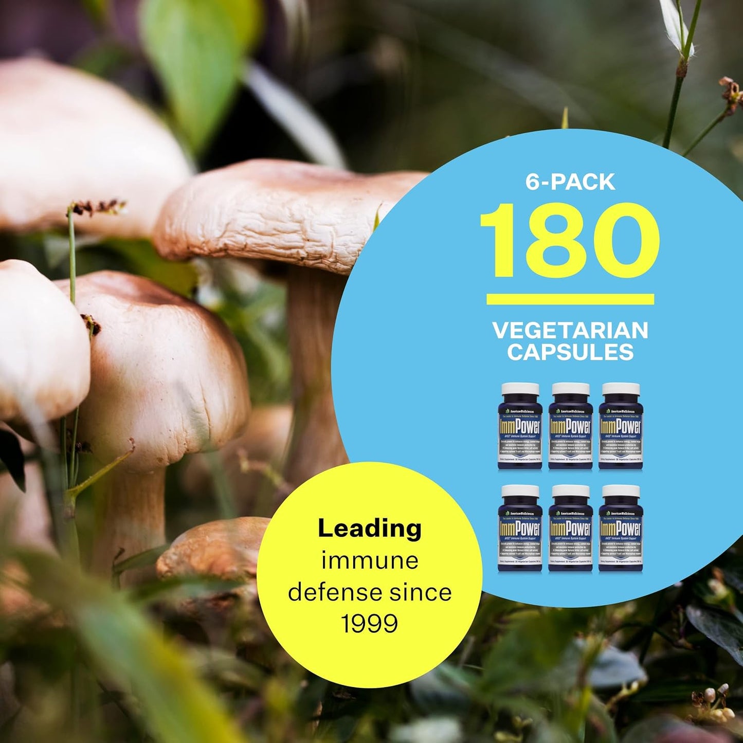 American BioSciences ImmPower AHCC Mushroom Supplement 6-Pack (30 Capsules per Bottle) - görsel 3