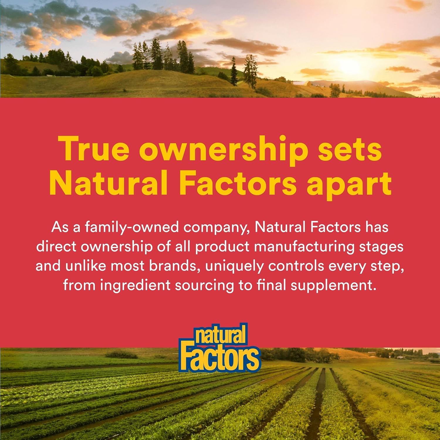 Natural Factors Citrus Bioflavonoids 650 mg - 90 Capsules