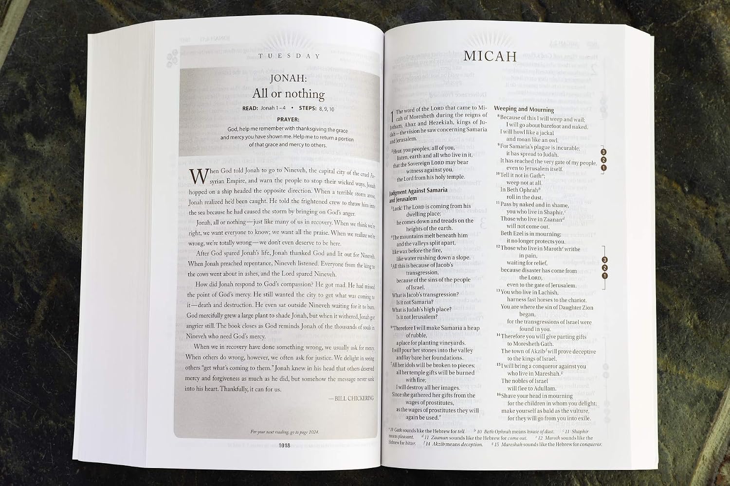 NIV Recovery Devotional Bible, Paperback