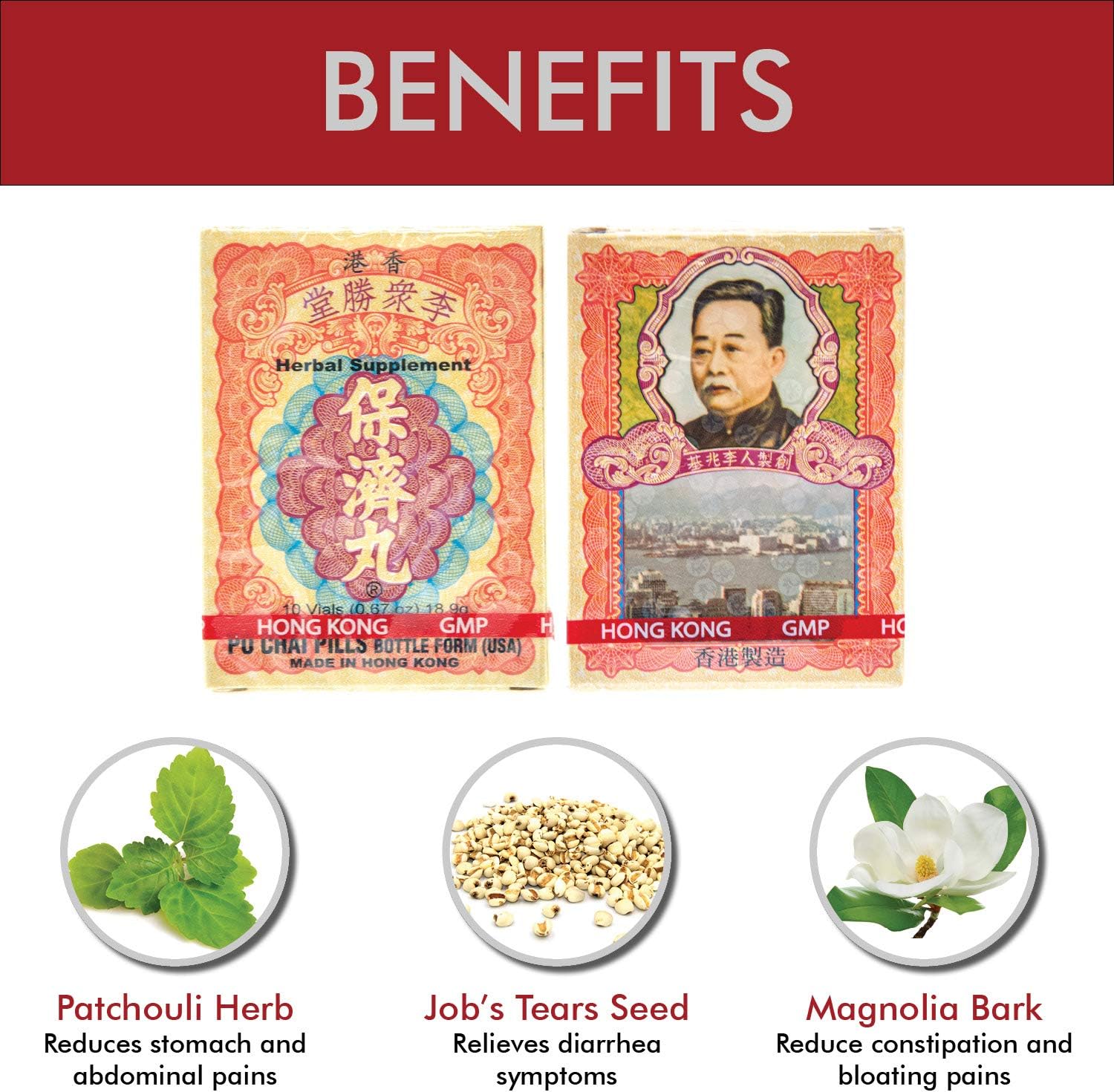 Po Chai Pills Herbal Supplement (10 vials)