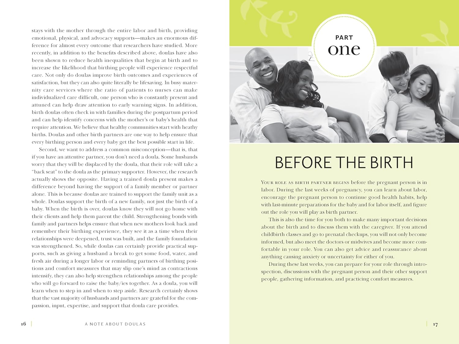 The Birth Partner, Sixth Revised Edition: A Complete Guide to Childbirth for Dads, Partners, Doulas, and Other Labour Companions