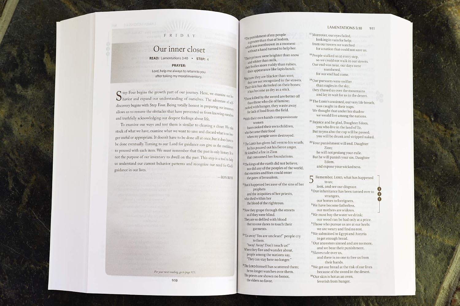 NIV Recovery Devotional Bible, Paperback