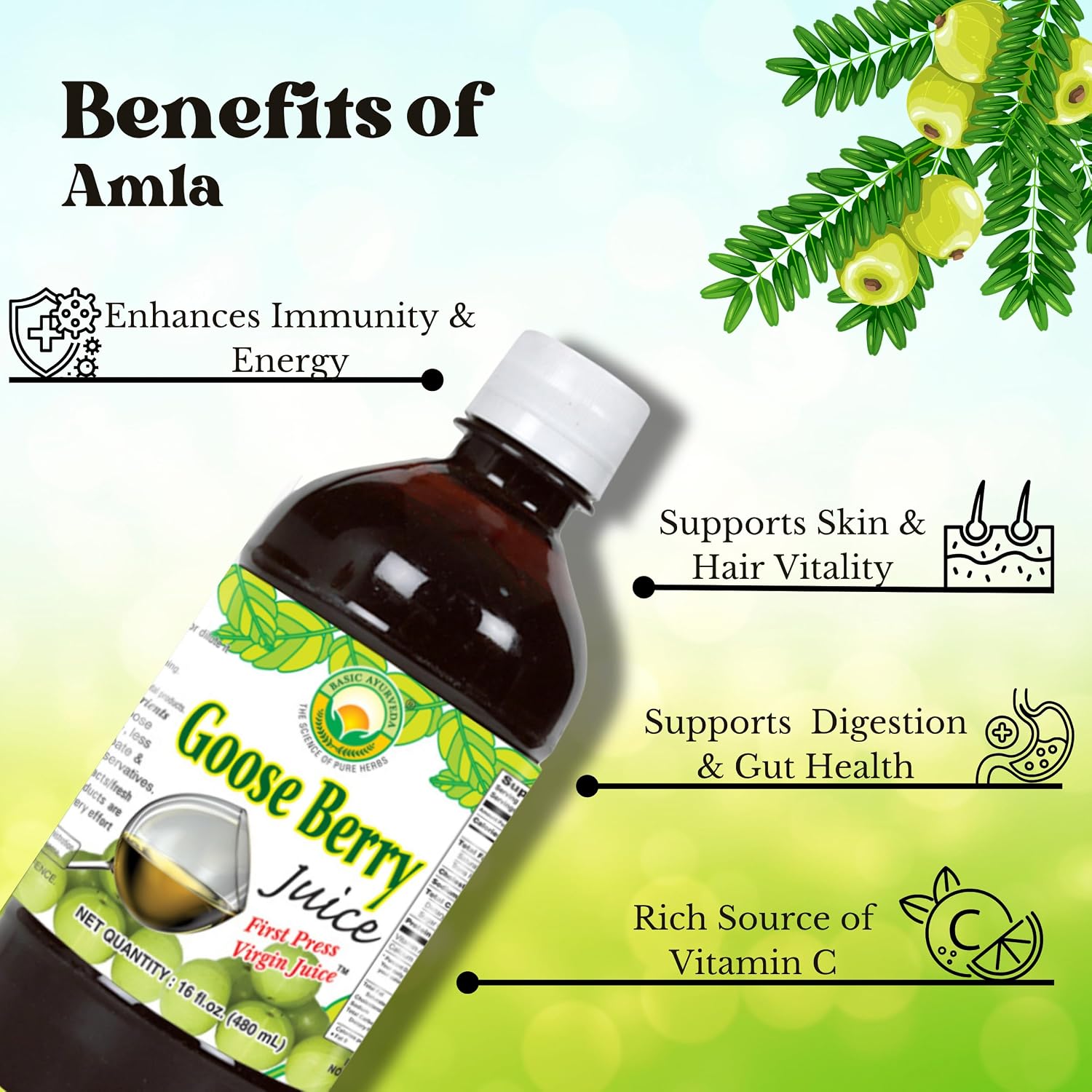 Basic Ayurveda Amla (Gooseberry) Juice | 480 ml | Rich in Natural Vitamin C for Immunity, Skin Glow & Hair Health | Herbal Detox & Daily Ayurvedic Wellness Drink | No Added Sugar - görsel 5