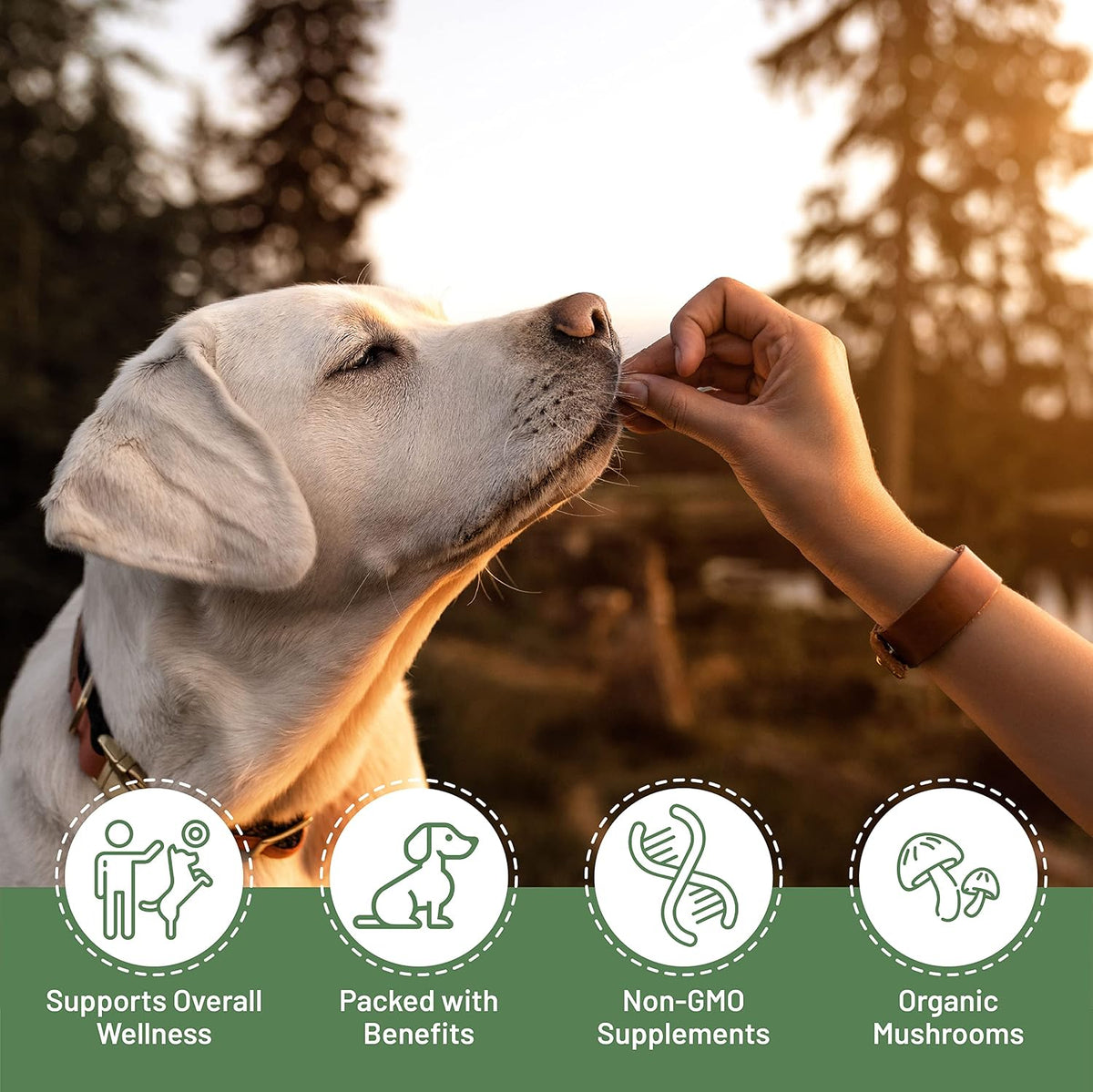 Aloha Medicinals K9 Immunity Plus - Immune Support Soft Chews for Dogs Over 70 lbs (90 Count) - görsel 8