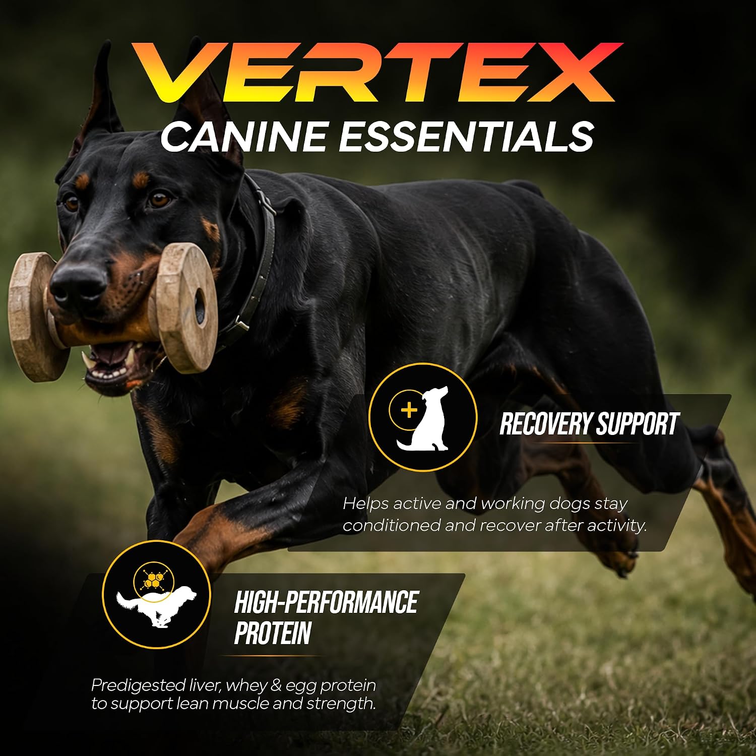 Vertex Canine Essentials High-Performance Dog Supplement – Predigested Liver, Whey & Egg Protein – 4 lb (1.81 kg)