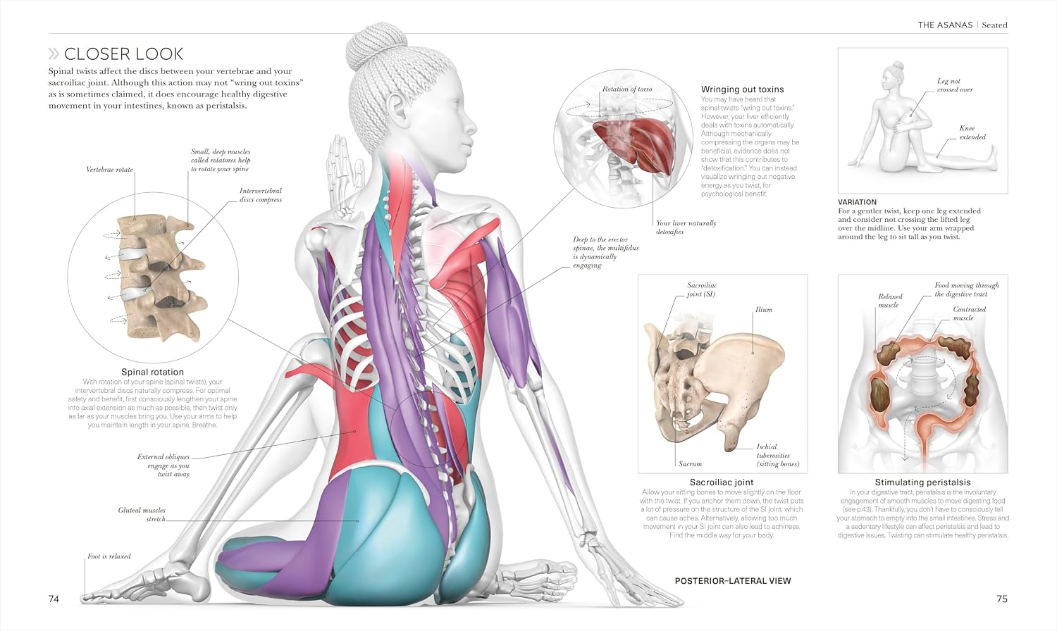 Science of Yoga: Understand the Anatomy and Physiology to Perfect Your Practice