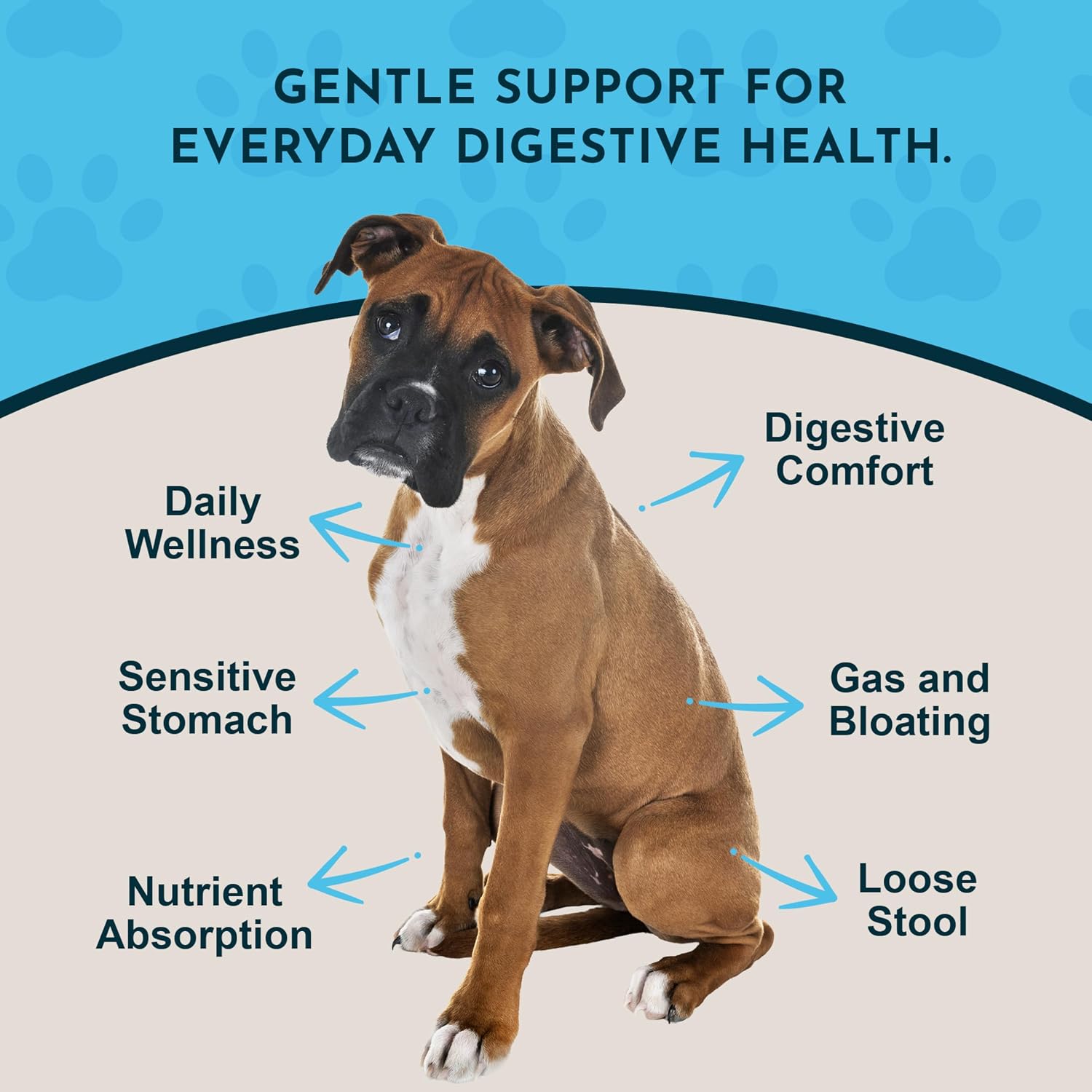 Daily Digestion 30 mL