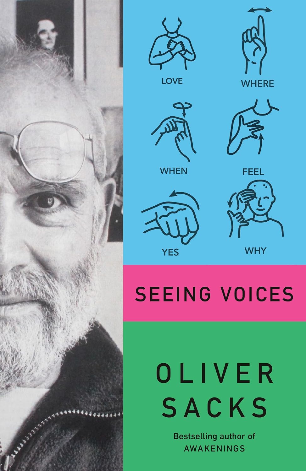 Seeing Voices