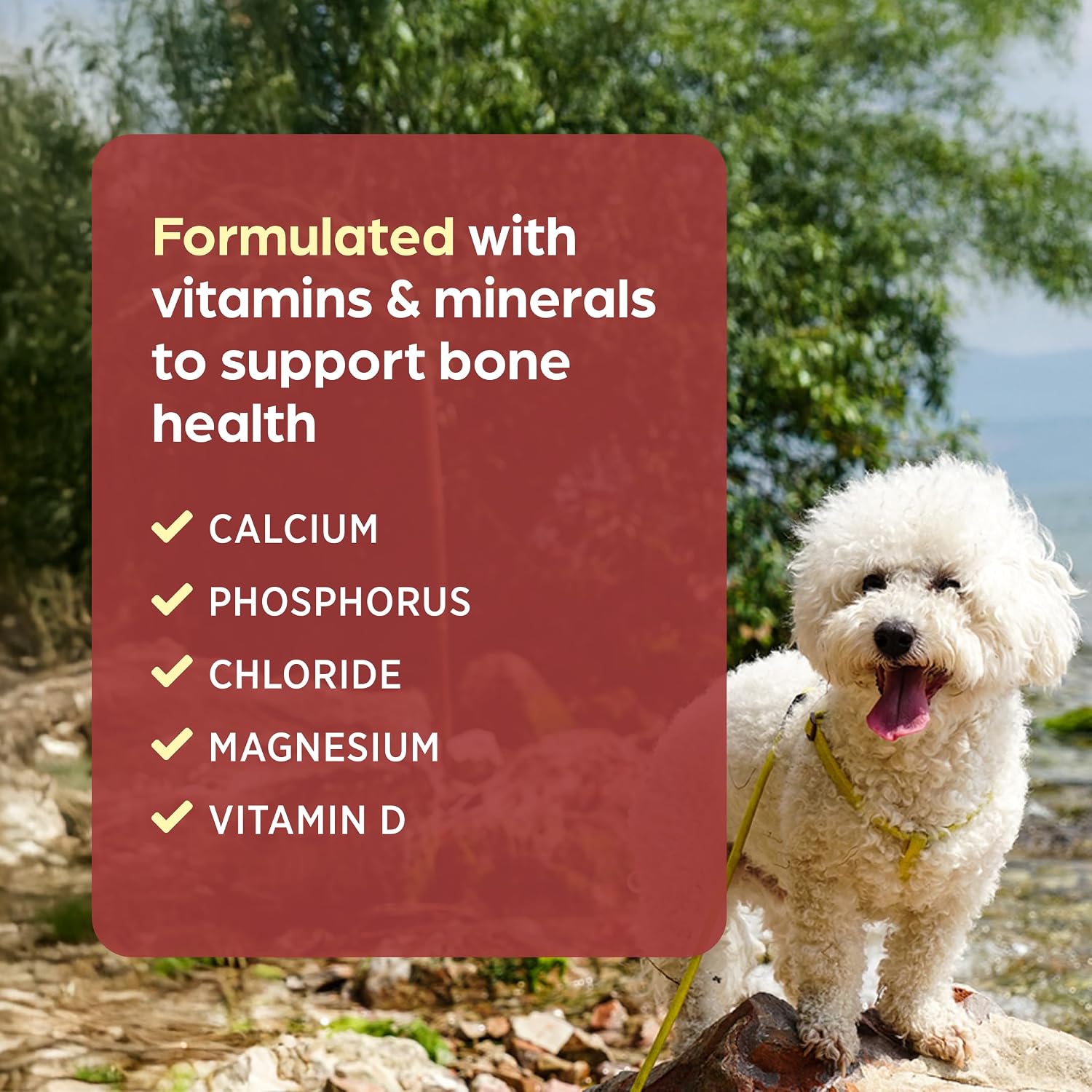 Pet-Cal Calcium, Phosphorus, and Vitamin D Supplement for Dogs & Cats - 60 Chewable Tablets