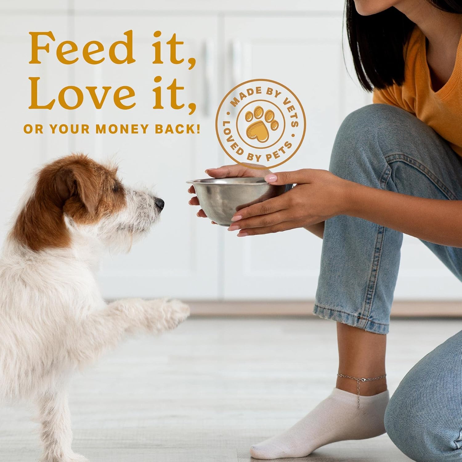 The Missing Link Skin & Coat + Probiotics Supplement for Dogs, 454 g