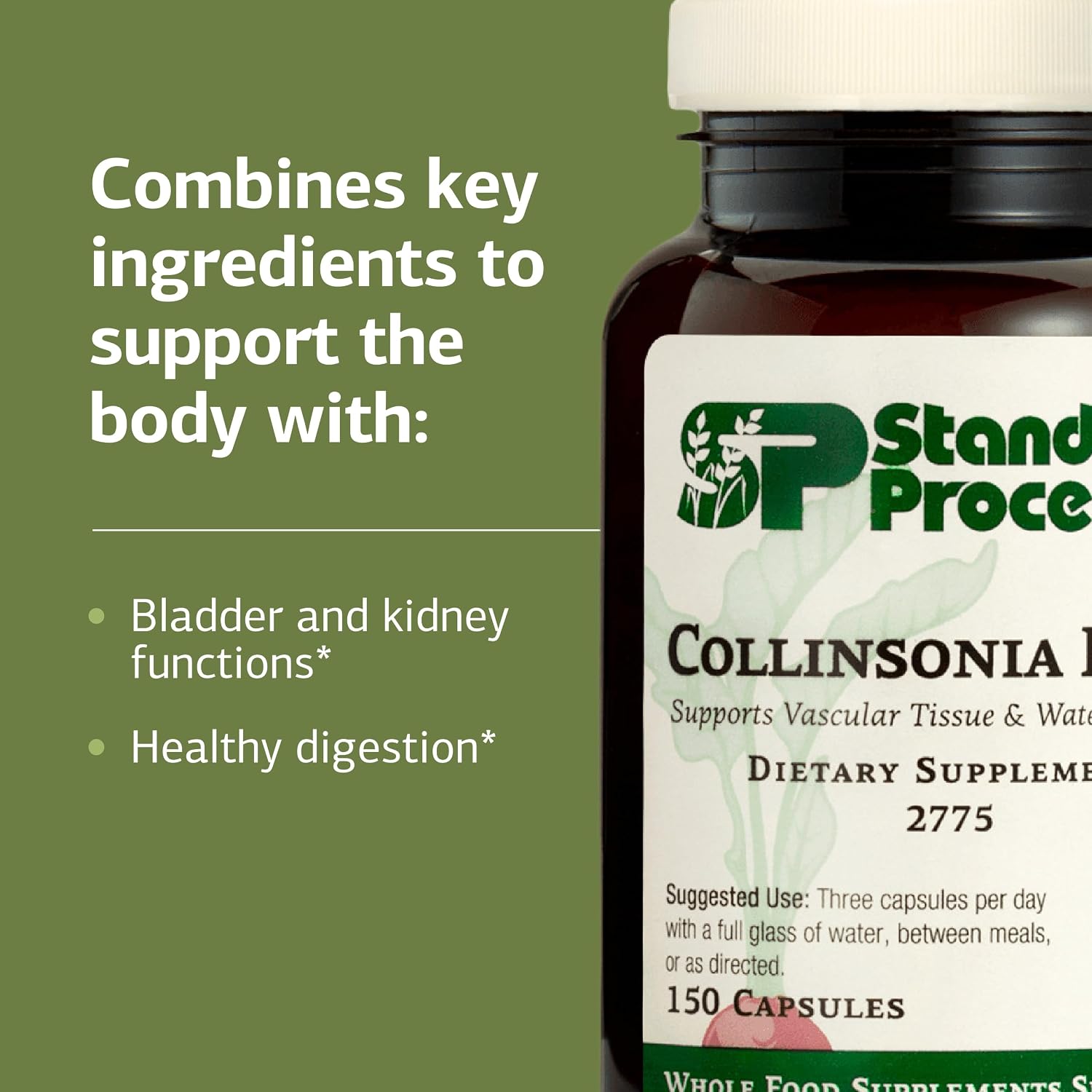 Standard Process Collinsonia Root – Vascular and Kidney Health Support, 150 Capsules