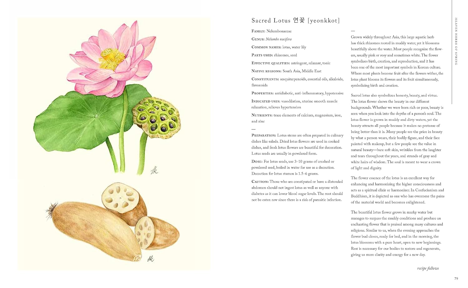 The Korean Herbal Apothecary: Ancient Wisdom for Wellness and Balance in Today's World