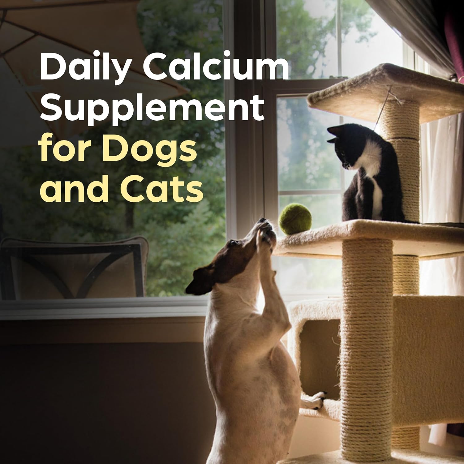 Pet-Cal Calcium, Phosphorus, and Vitamin D Supplement for Dogs & Cats - 60 Chewable Tablets
