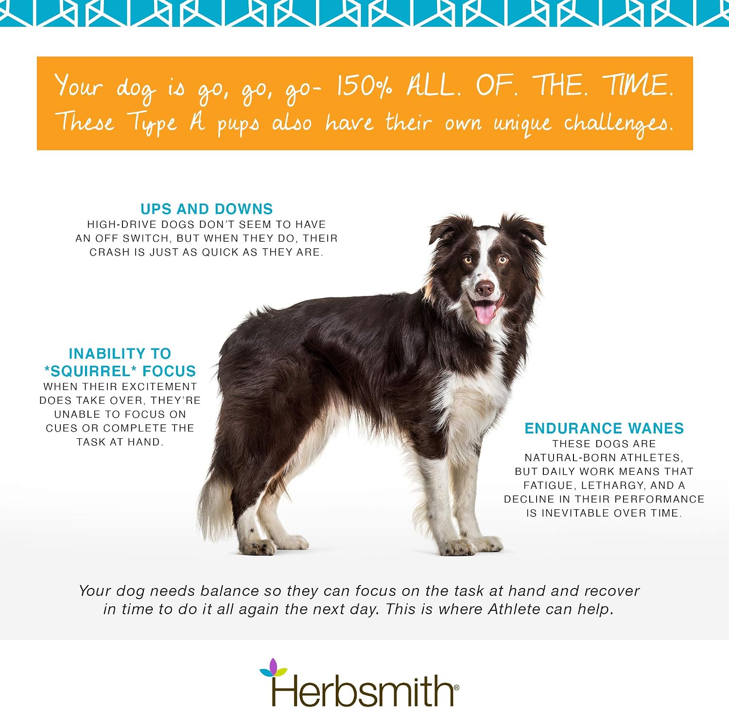 Herbsmith Athlete – Canine Endurance Supplement for Working and Agility Dogs (75 g Powder)