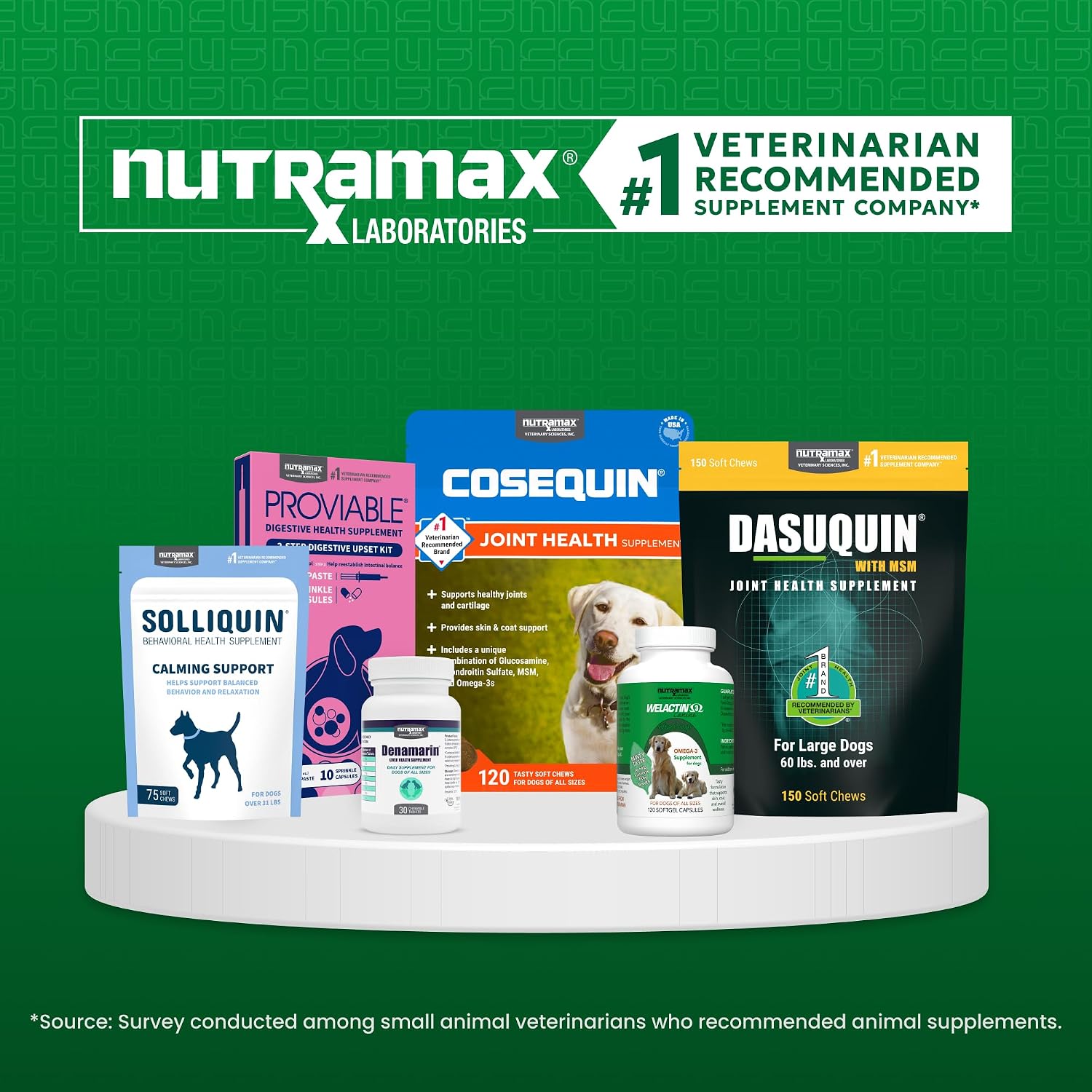 Nutramax Laboratories Denosyl for Dogs – Liver and Brain Health Supplement with S-adenosylmethionine (SAMe), 30 Count
