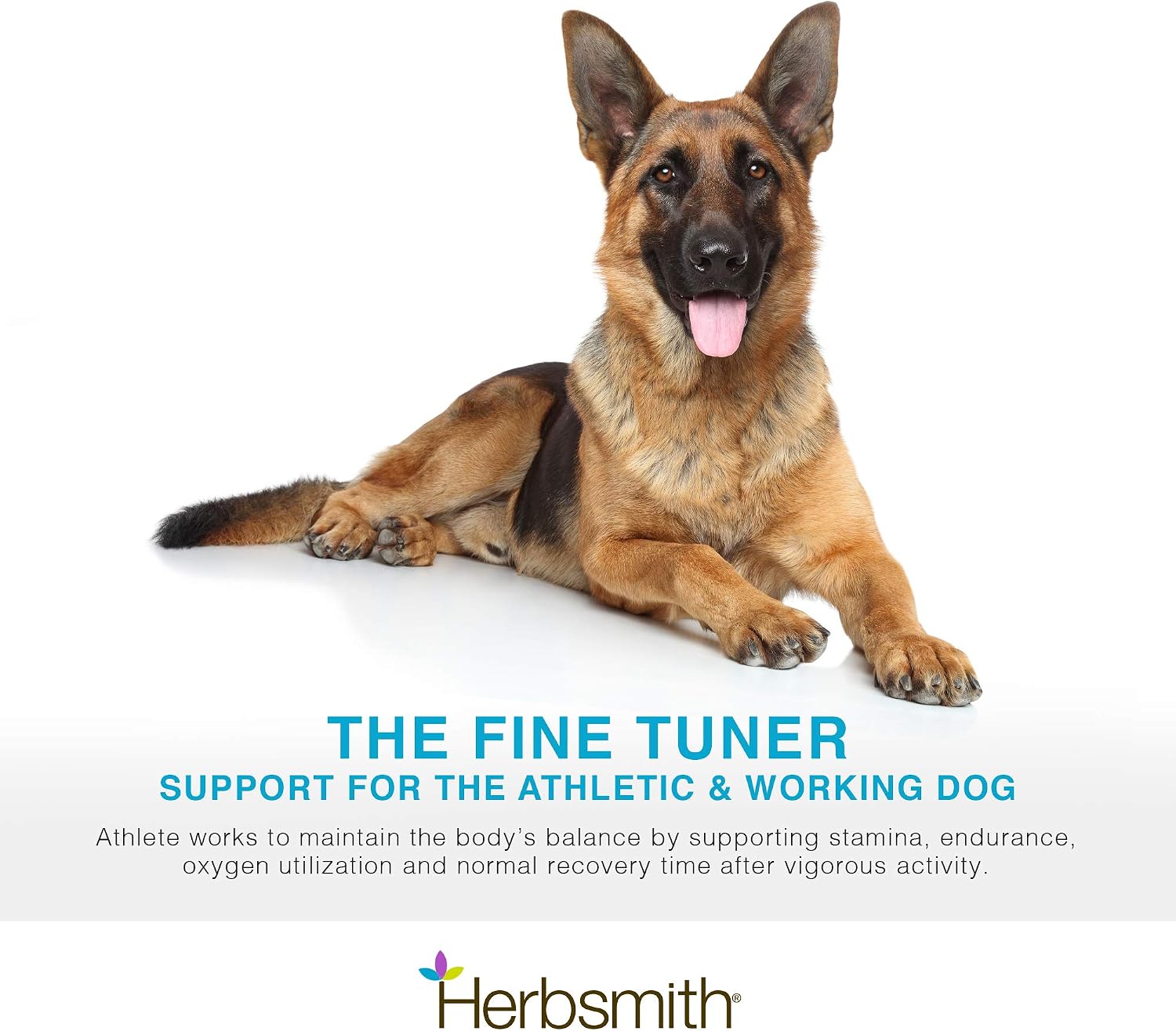 Herbsmith Athlete – Canine Endurance Supplement for Working and Agility Dogs (75 g Powder)