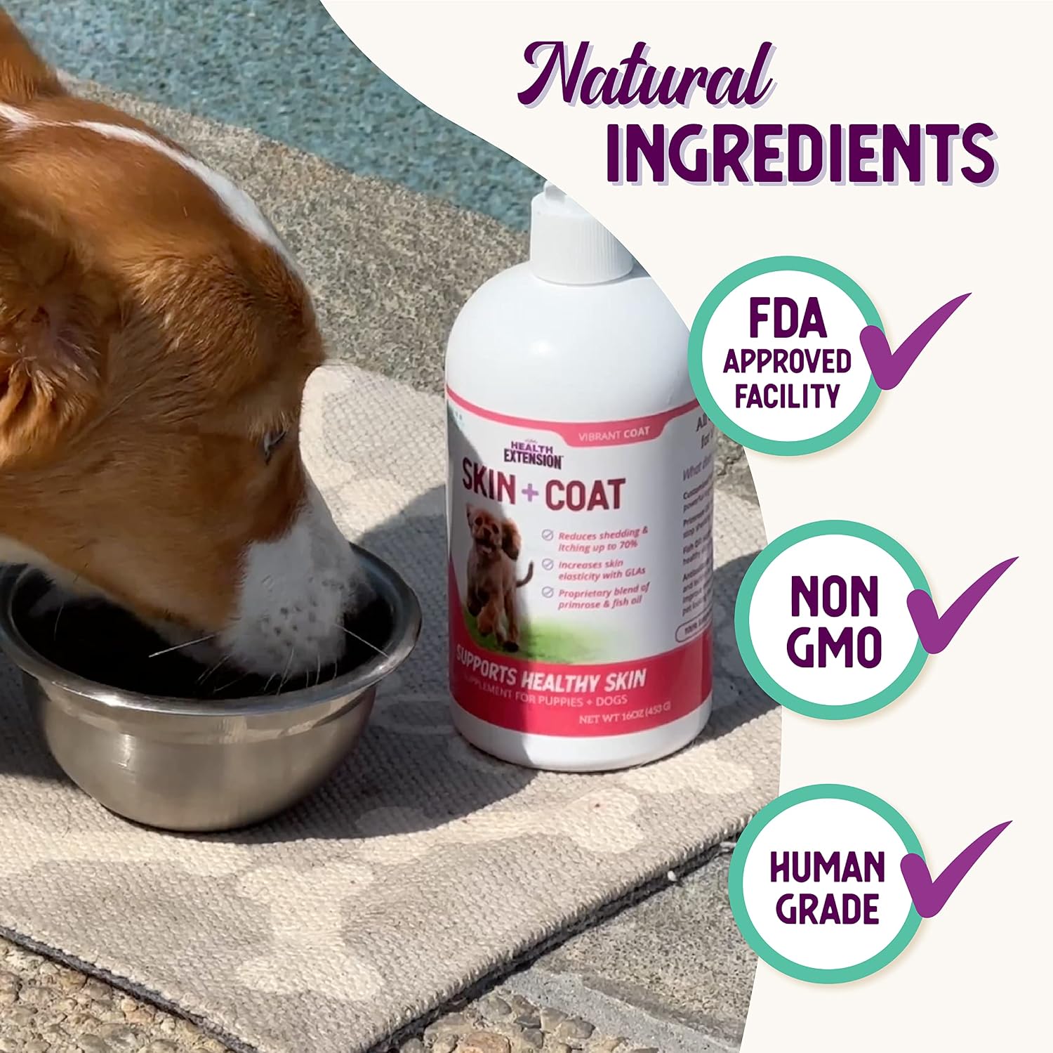 Health Extension Skin & Coat Supplement for Dogs & Puppies, 16 oz (473 mL)