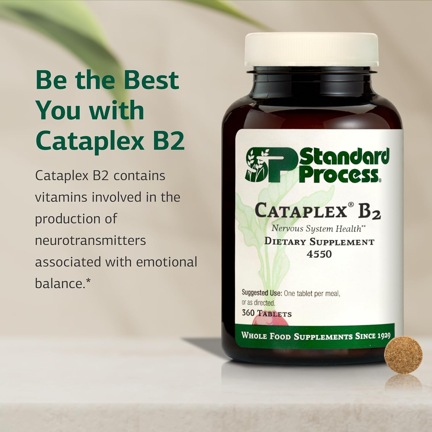 Standard Process Cataplex B2 – Nervous System Health Supplement – 360 Tablets