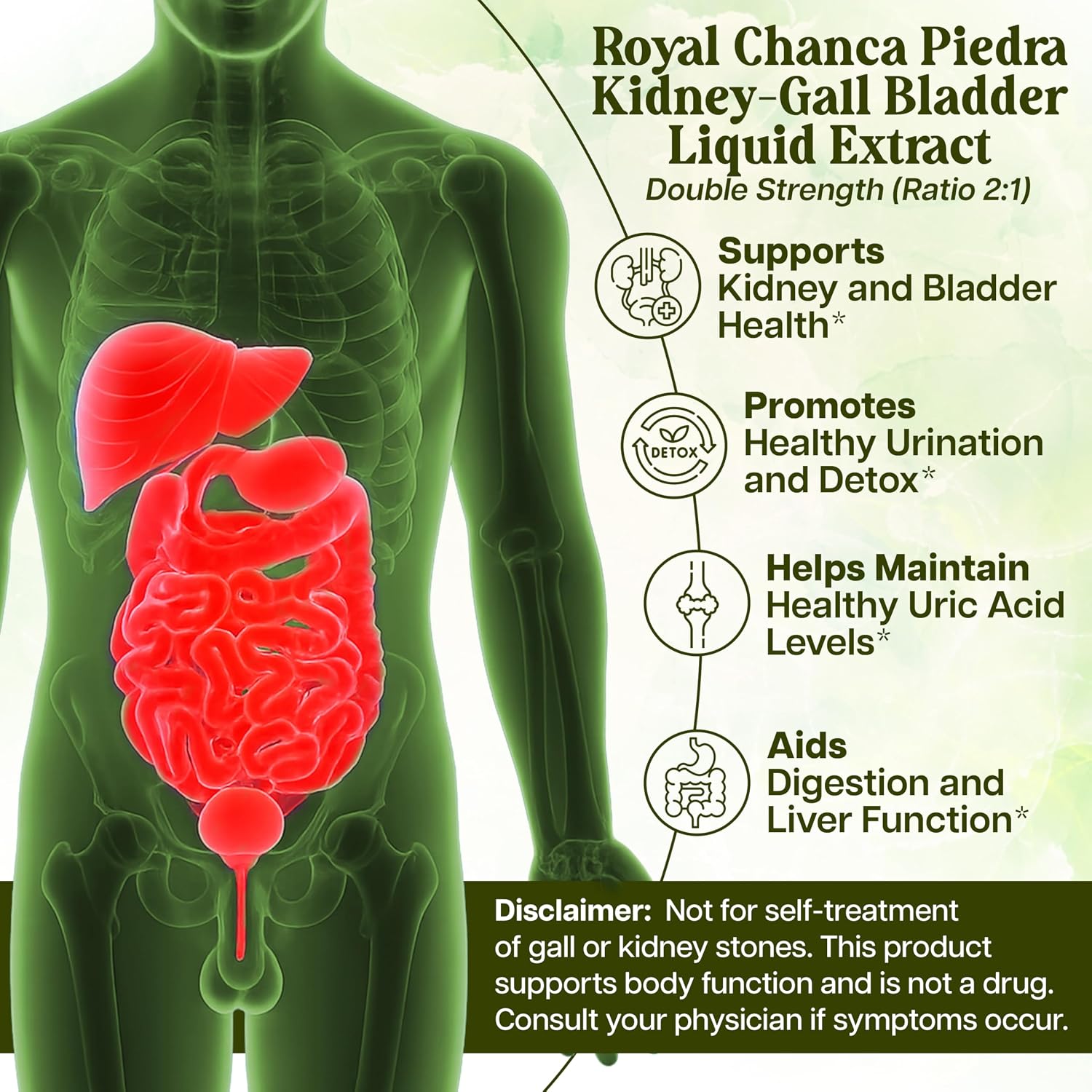 Whole World Botanicals Royal Chanca Piedra – Kidney & Bladder Support – Liquid Extract 4 oz (118 mL)