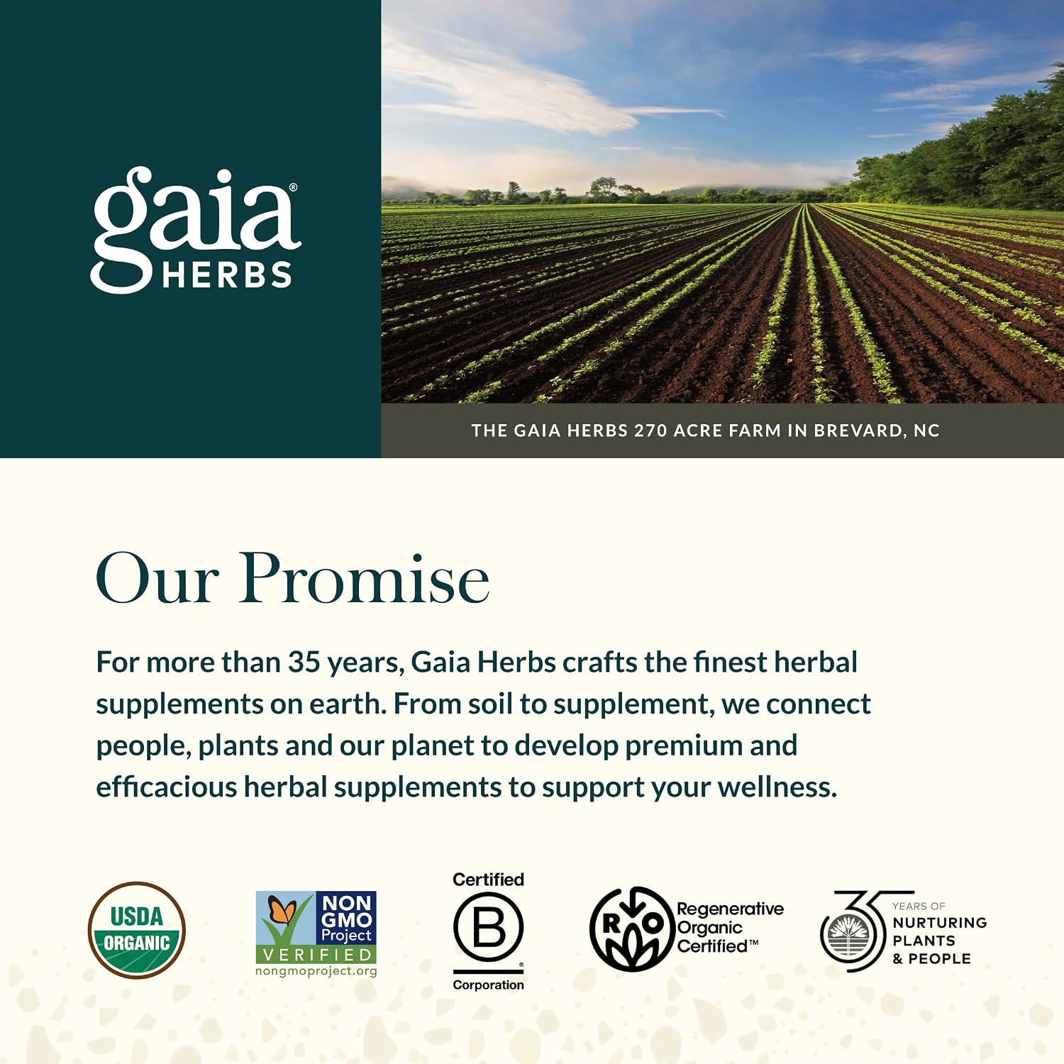 Gaia Herbs Fenugreek Seed – 60 Vegan Liquid Phyto-Capsules