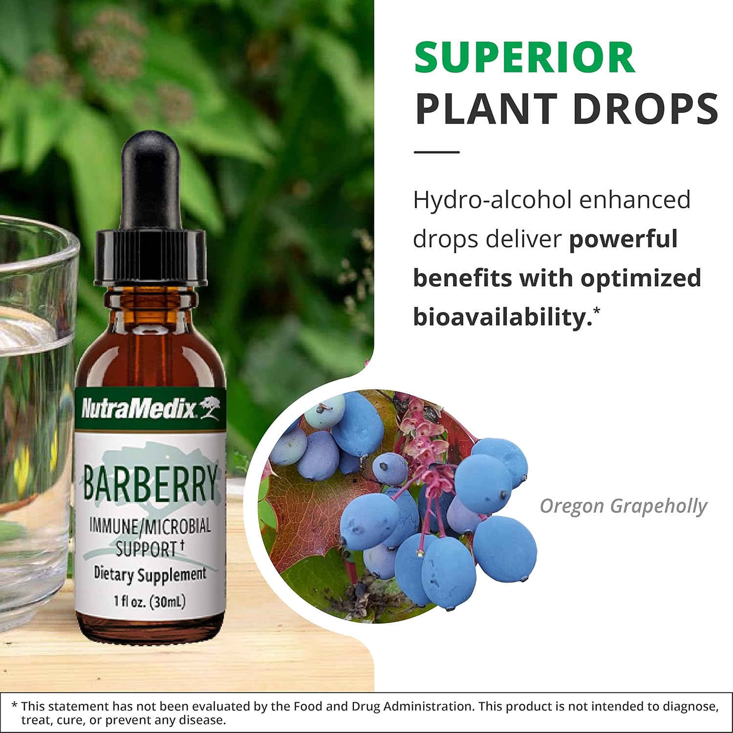 NutraMedix Barberry Liquid Extract - Oregon Grape Root Supplement for Immune Support & Gut Health, 30 ml