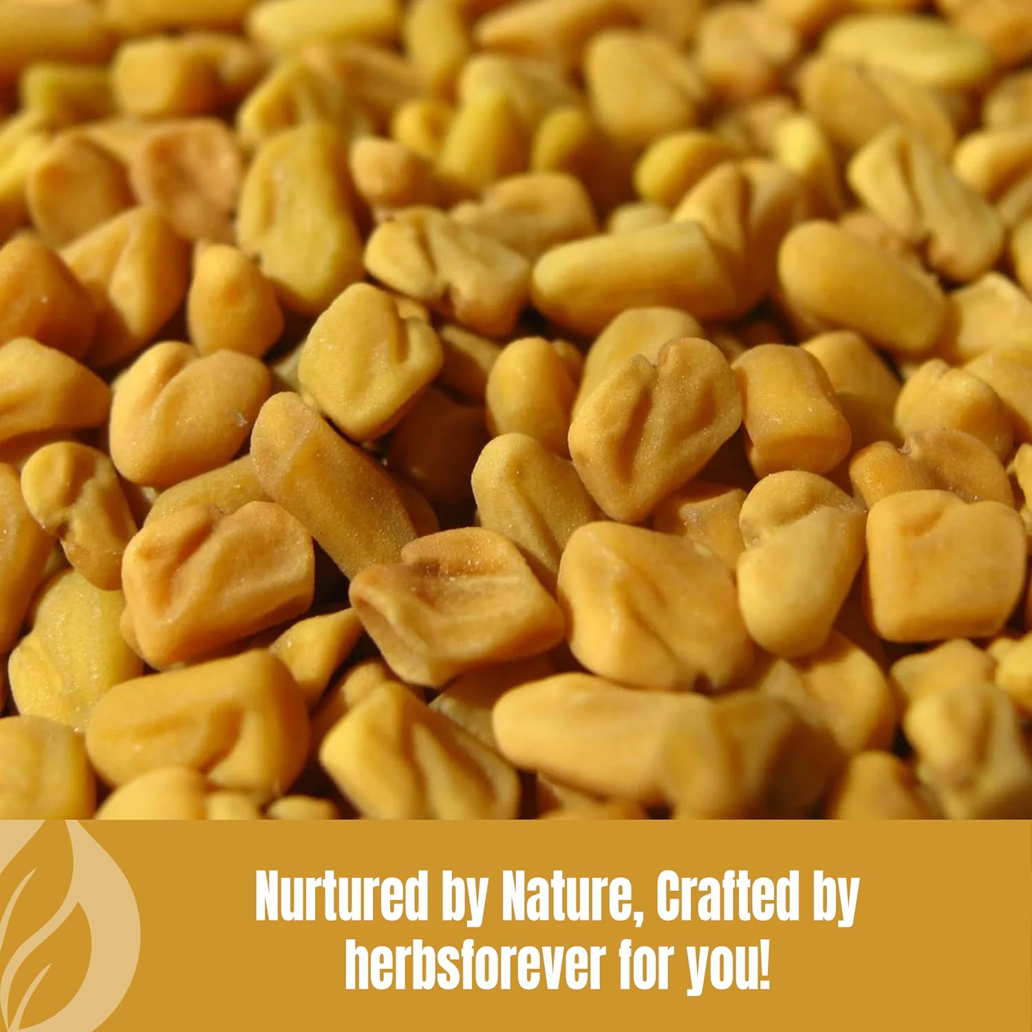 HerbsForever Fenugreek Powder (Seeds) - 230 g