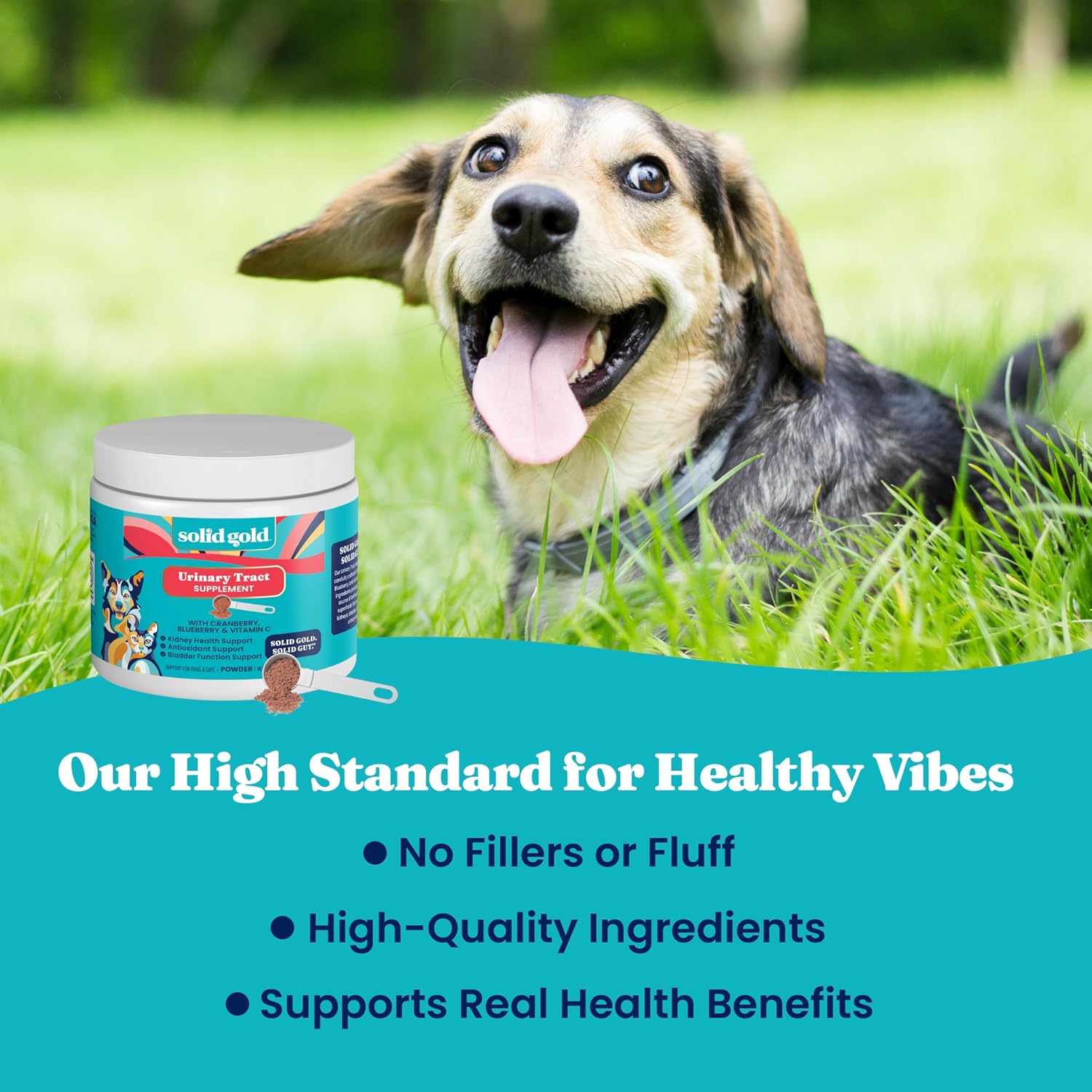 Solid Gold Berry Balance Cranberry Supplement for Dogs – Urinary Tract, Bladder & Kidney Support with Antioxidants (100 g Powder)