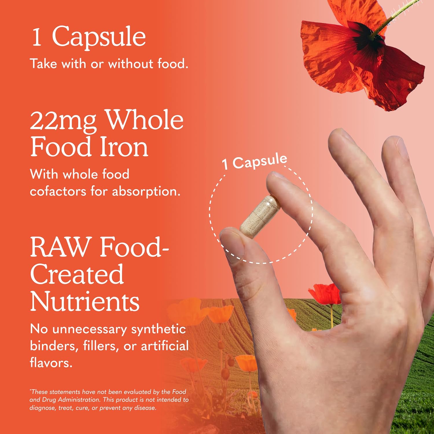 Garden of Life Vitamin Code Raw Iron Supplement - 30 Vegan Capsules, 22 mg Once Daily Iron, Vitamins C, B12, Folate, Fruit, Vegetables & Probiotics