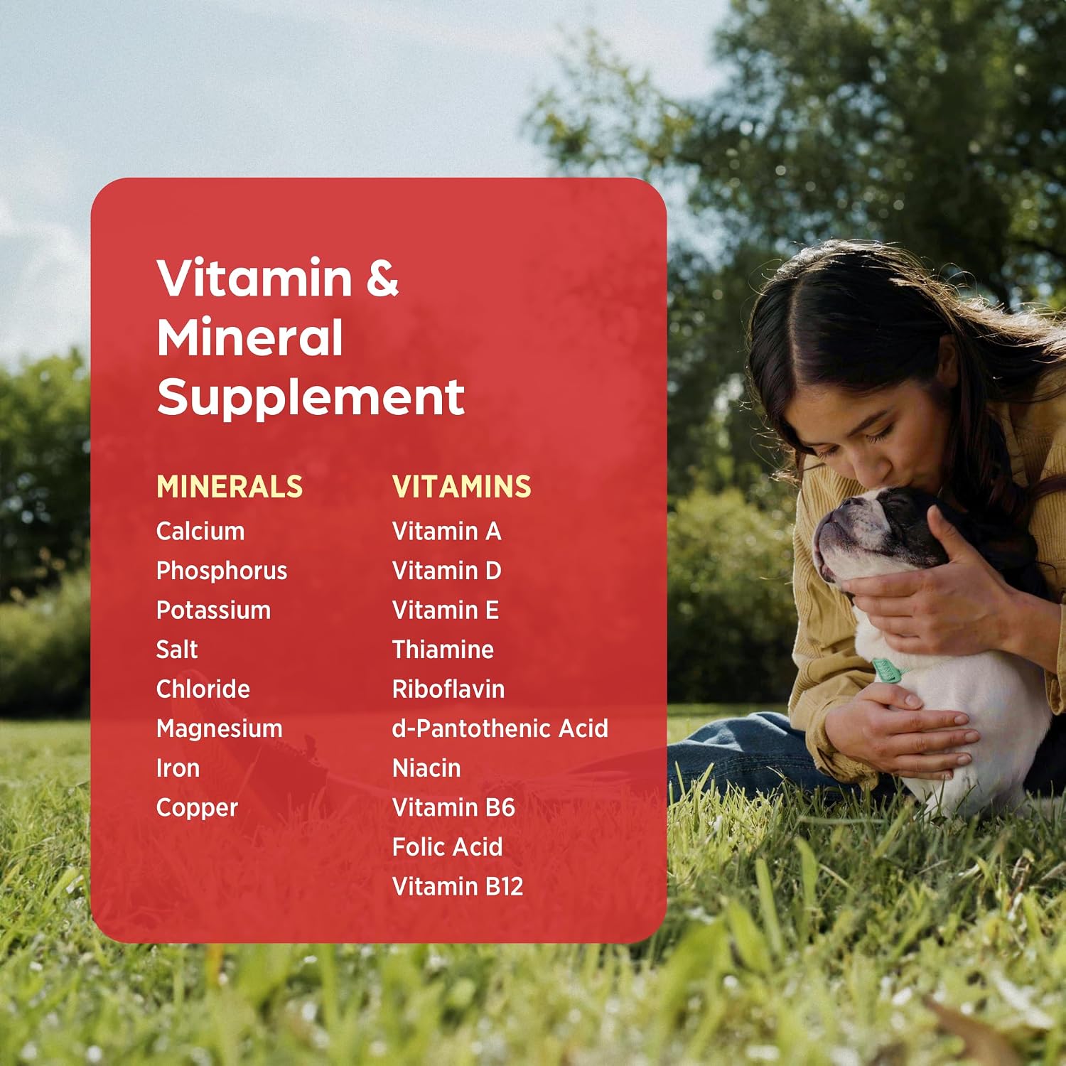 Vi-Sorbits Iron & Vitamin Daily Supplement for Dogs, Meat-Flavoured Chewable Tablets, 200 Count