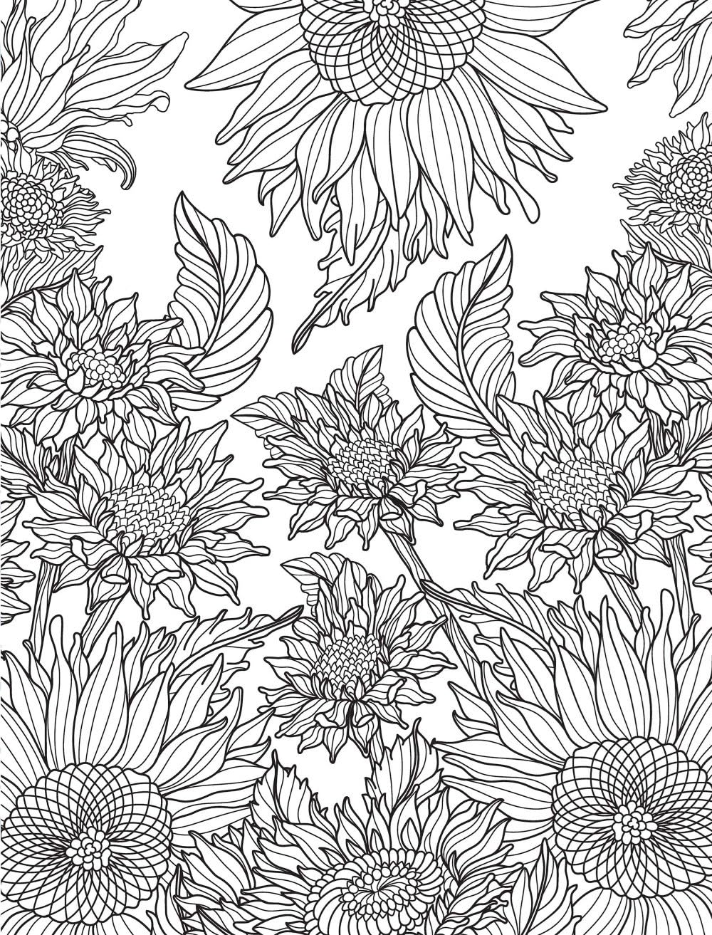 Healing Vibes: Colouring for Calm (Dover Adult Colouring Books)