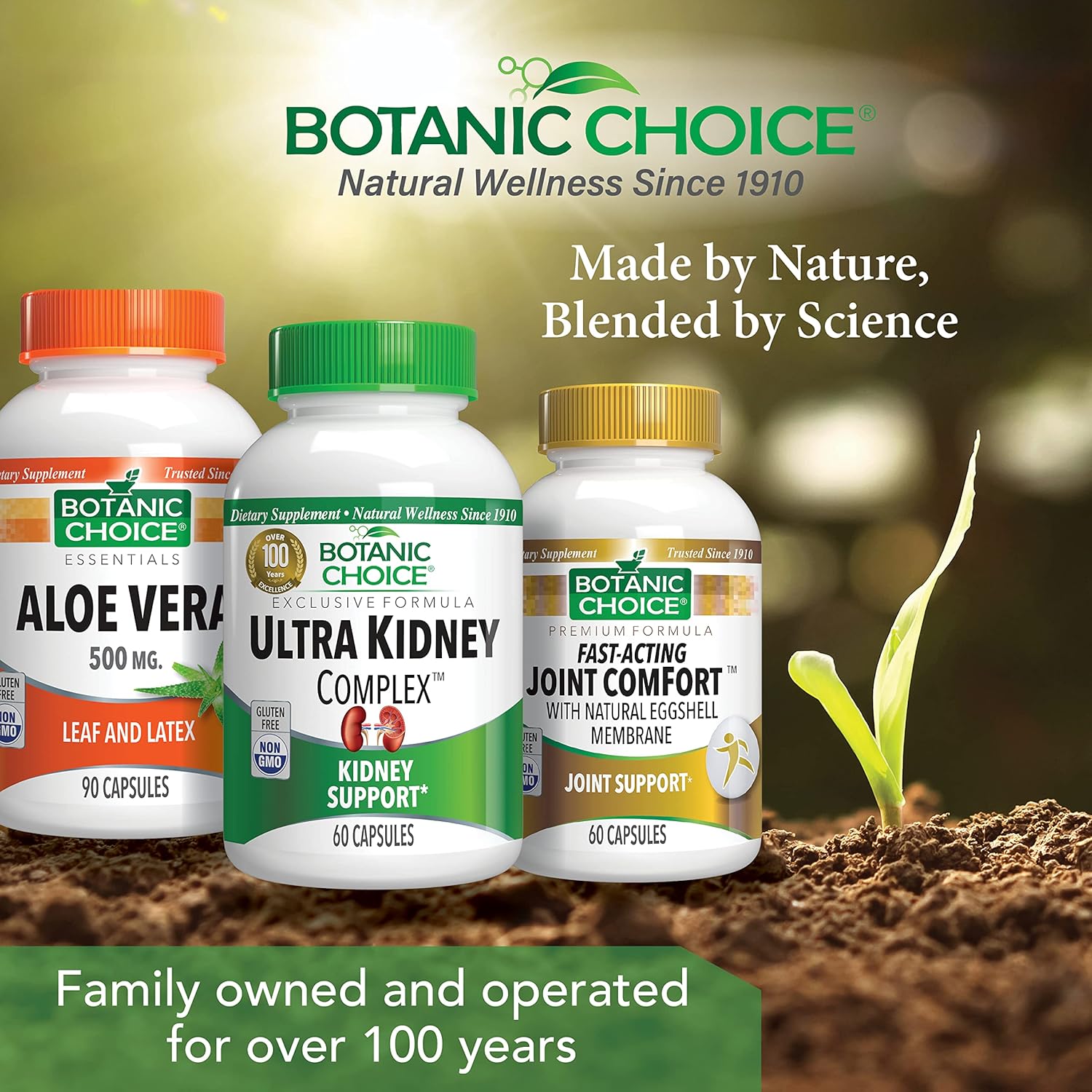 Botanic Choice Ultra Kidney Complex – Optimal Kidney Support with Milk Thistle, Green Tea & More – 60 Capsules