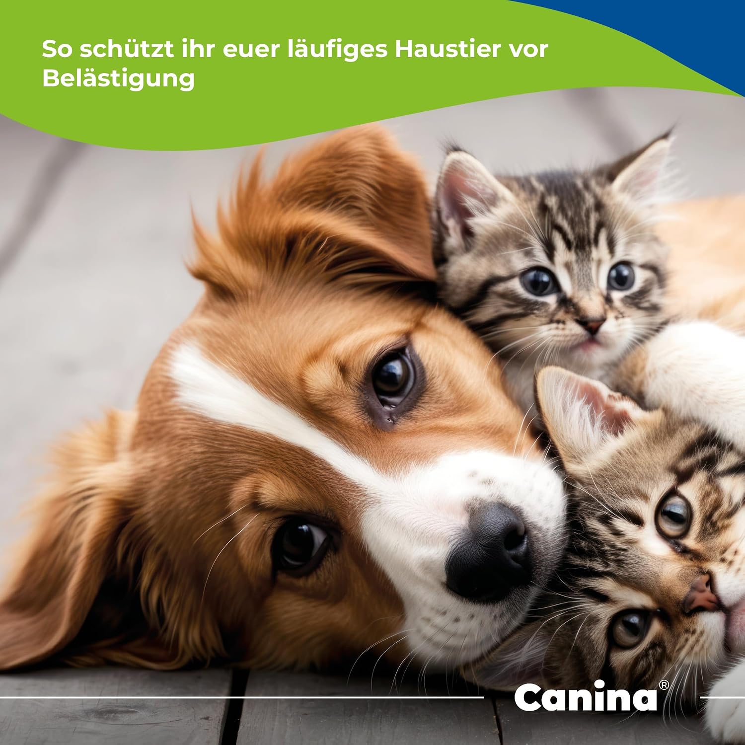 Canina Pharma Dog-Stop Forte Multivitamin Tablets for Dogs, 60 Tablets