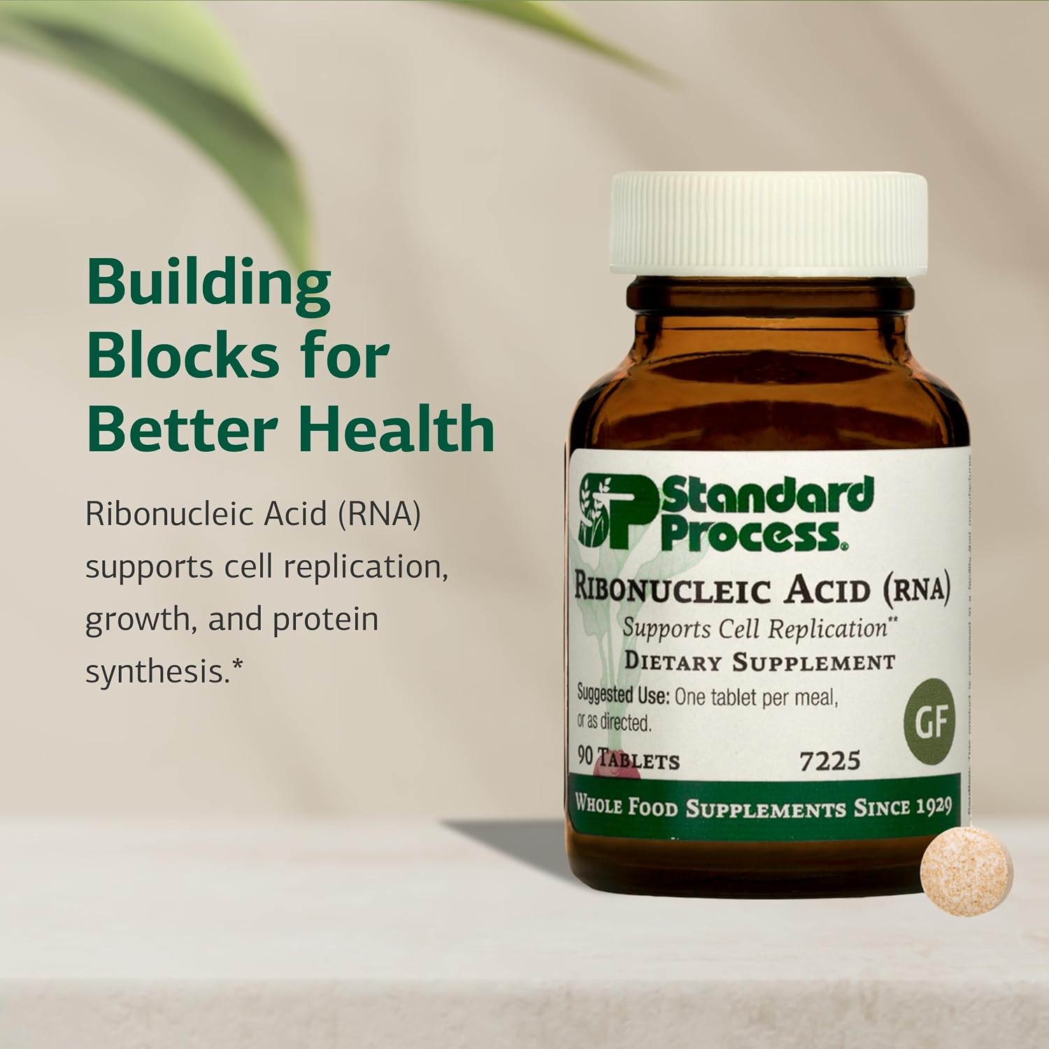 Standard Process Ribonucleic Acid (RNA) - Cell Support - 90 Tablets