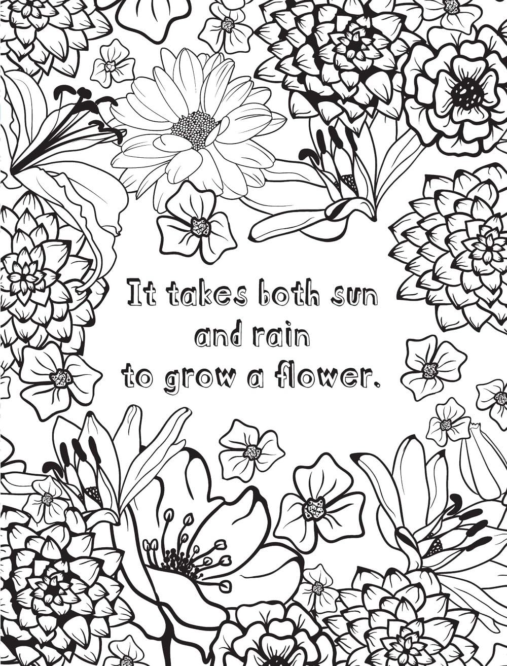 Healing Vibes: Colouring for Calm (Dover Adult Colouring Books)