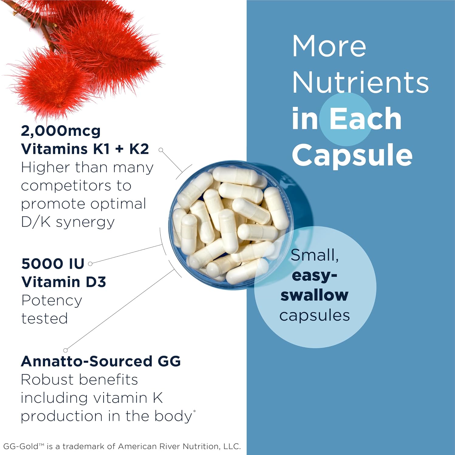 Designs for Health Vitamin D Supreme - Vitamin D3 5000 IU with Vitamin K MK-4 & Geranylgeraniol (180 Capsules)