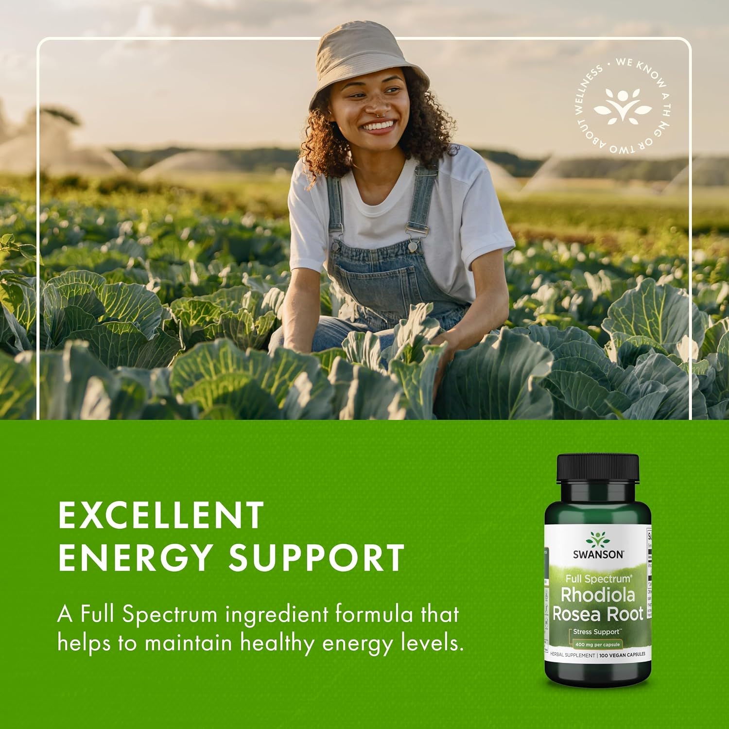 Swanson Rhodiola Rosea Root - Adaptogenic Herb Supplement for Stress Support & Energy - 400 mg, 100 Capsules